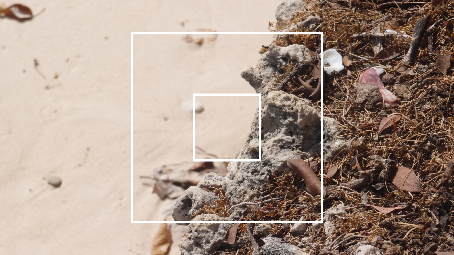 2022-04-15 Playa Kalki (am Strand und im Wasser) (Foto, Video)