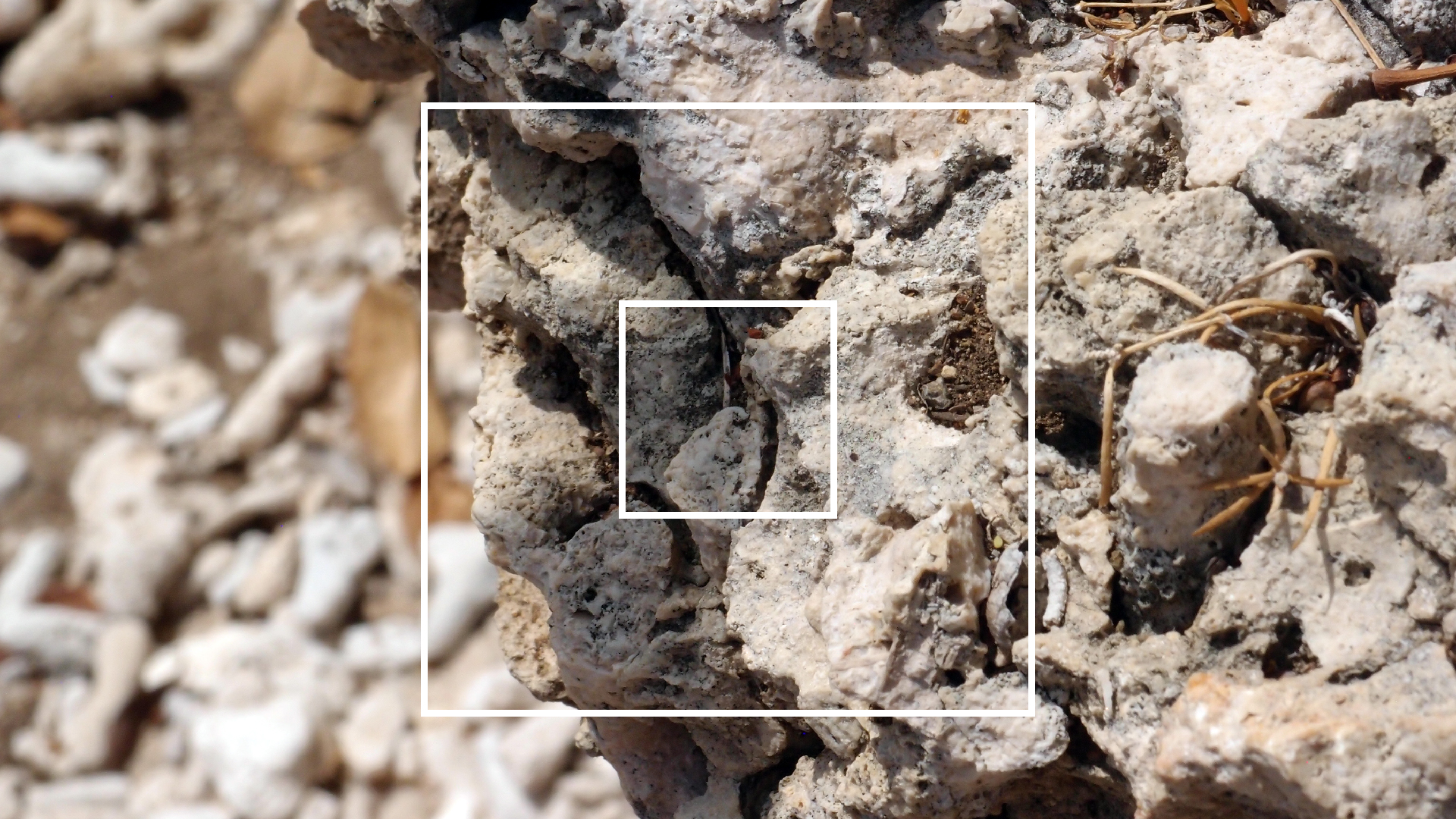 2022-04-15 Playa Kalki (am Strand und im Wasser) (Foto, Video)