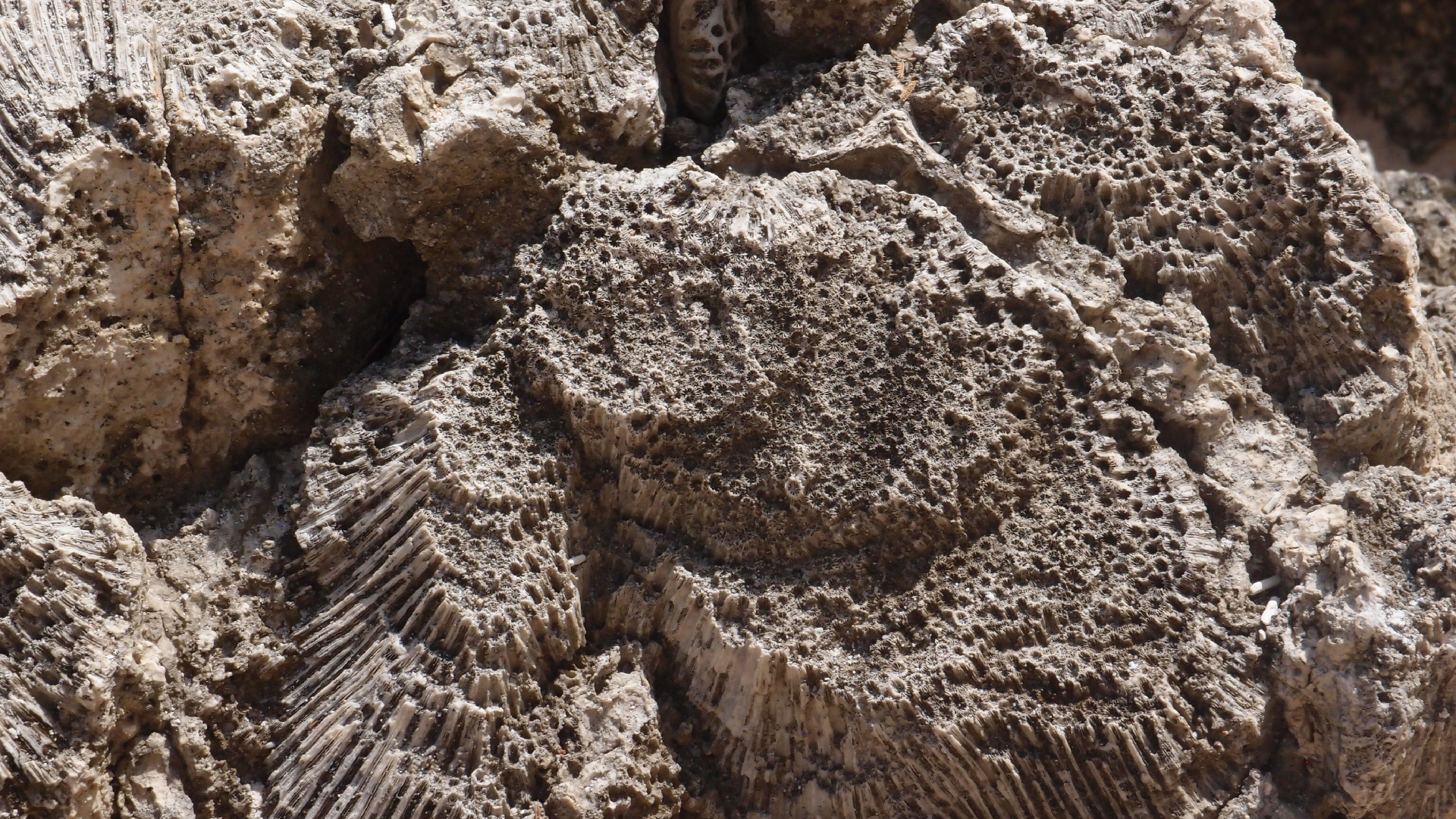 2022-04-15 Playa Kalki (am Strand und im Wasser) (Foto, Video)