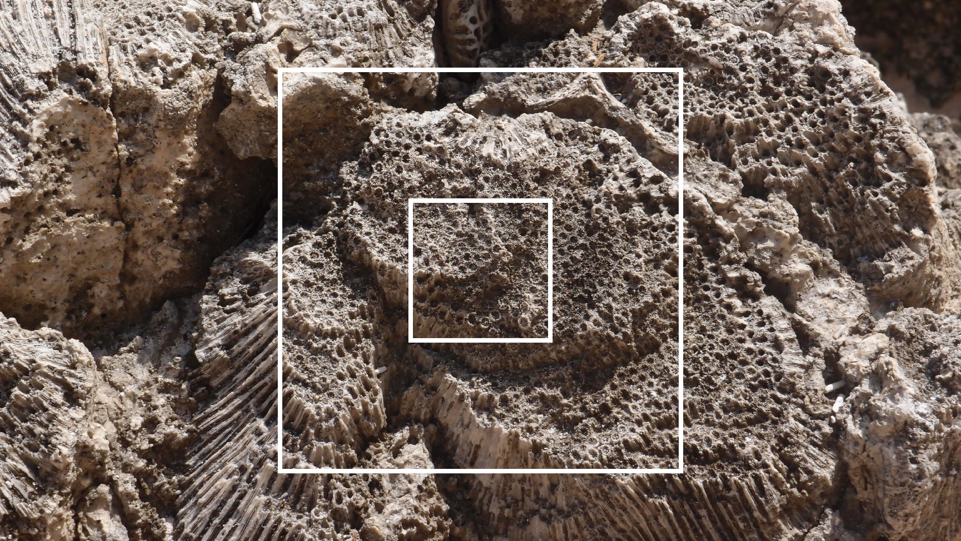 2022-04-15 Playa Kalki (am Strand und im Wasser) (Foto, Video)