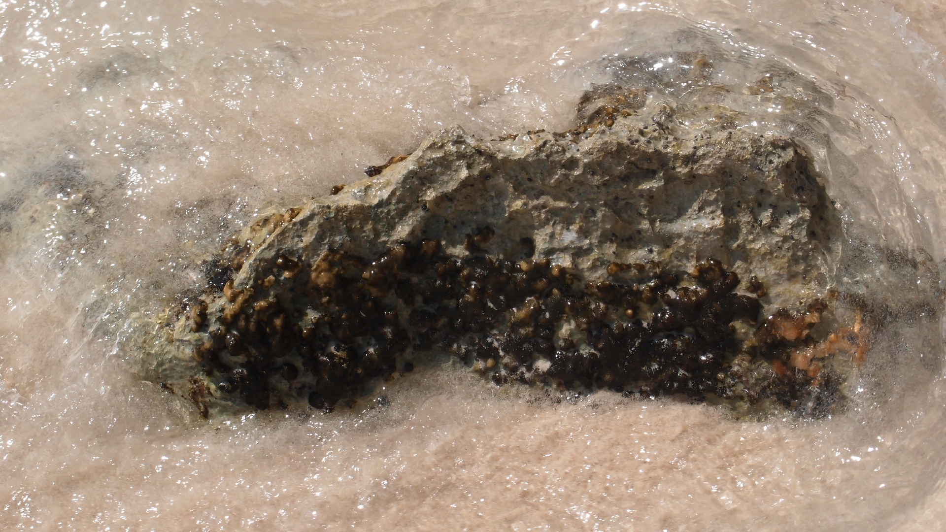 2022-04-15 Playa Kalki (am Strand und im Wasser) (Foto, Video)