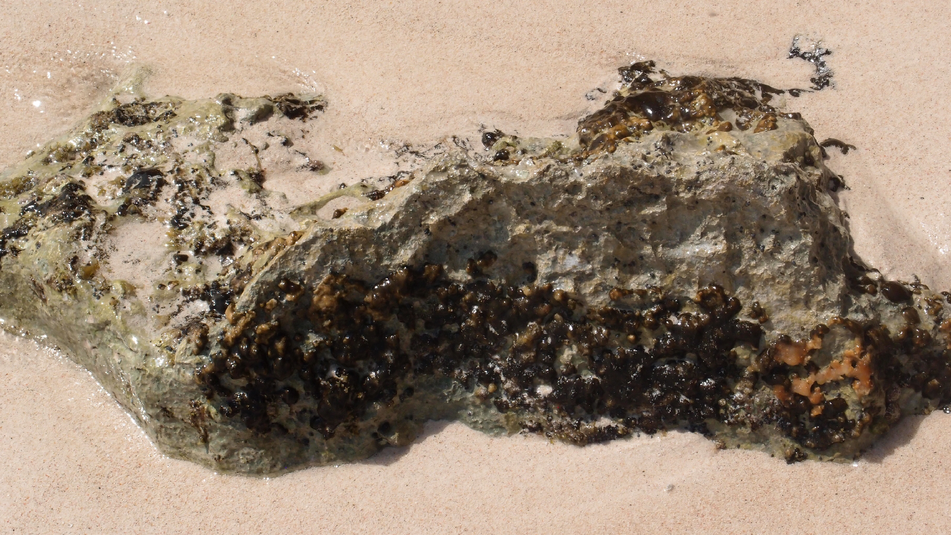 2022-04-15 Playa Kalki (am Strand und im Wasser) (Foto, Video)