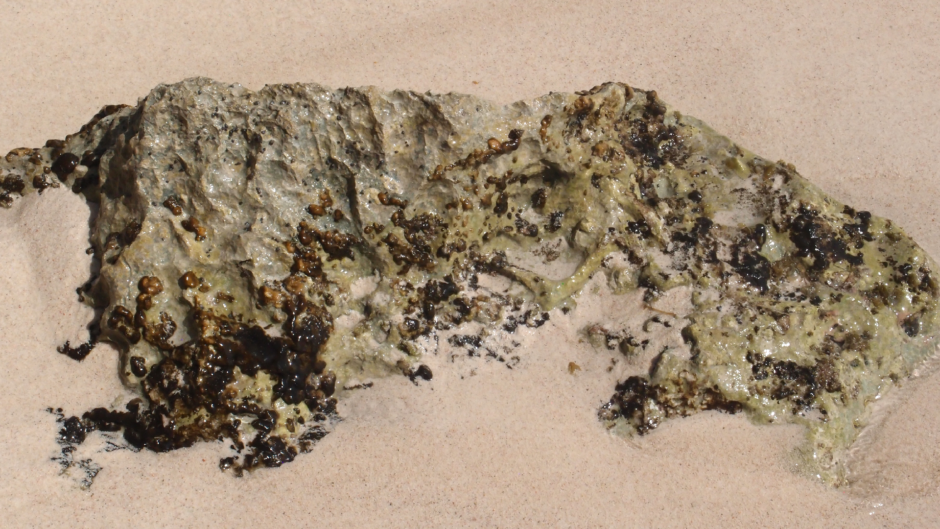 2022-04-15 Playa Kalki (am Strand und im Wasser) (Foto, Video)