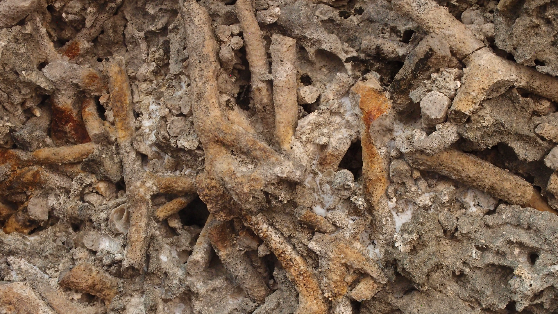 2022-04-15 Playa Kalki (am Strand und im Wasser) (Foto, Video)