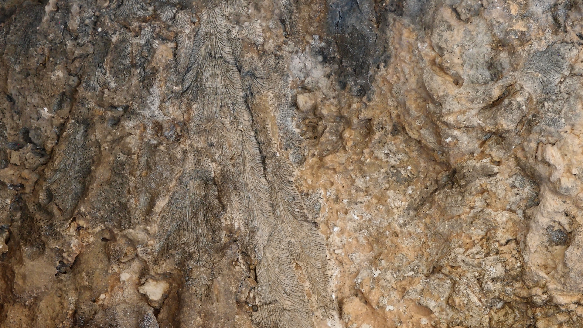 2022-04-15 Playa Kalki (am Strand und im Wasser) (Foto, Video)