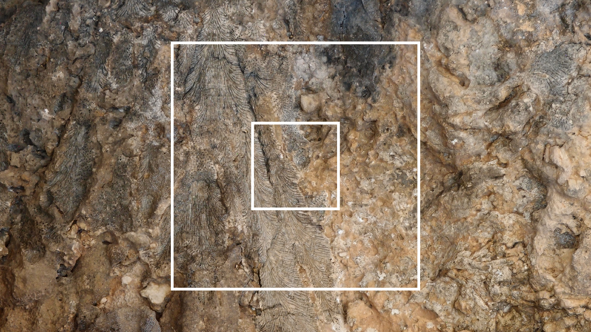 2022-04-15 Playa Kalki (am Strand und im Wasser) (Foto, Video)