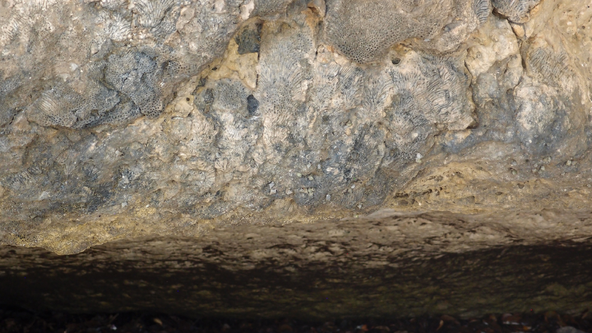 2022-04-15 Playa Kalki (am Strand und im Wasser) (Foto, Video)