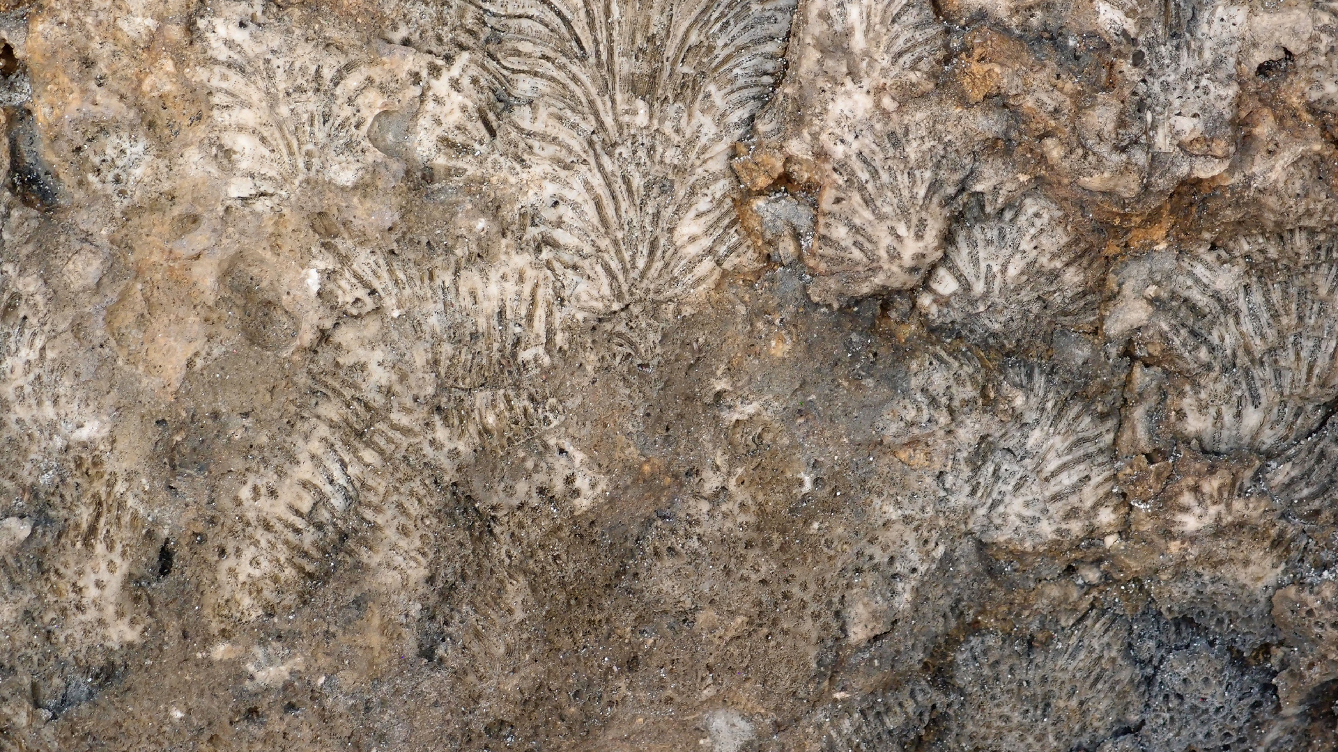 2022-04-15 Playa Kalki (am Strand und im Wasser) (Foto, Video)