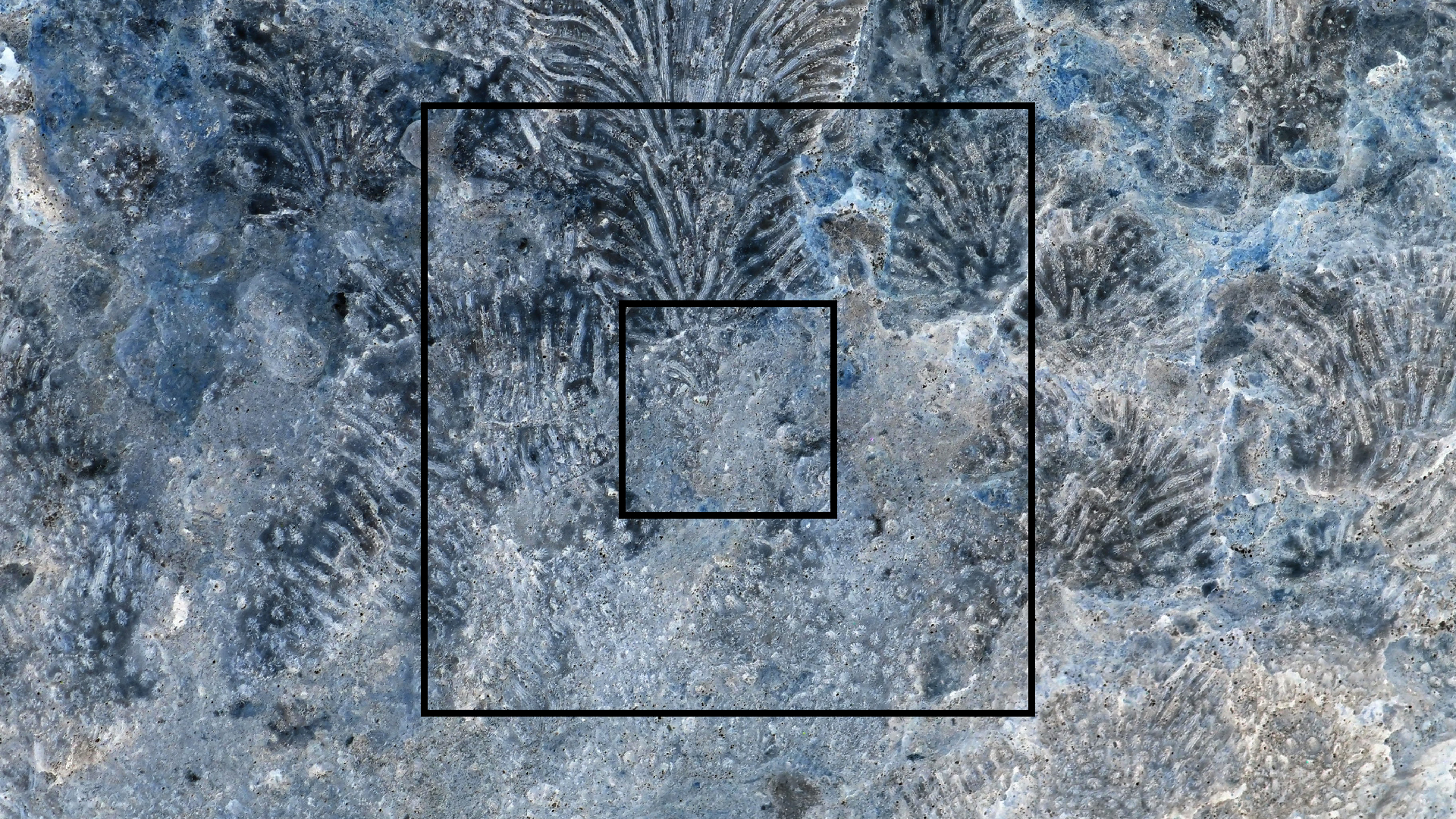 2022-04-15 Playa Kalki (am Strand und im Wasser) (Foto, Video)