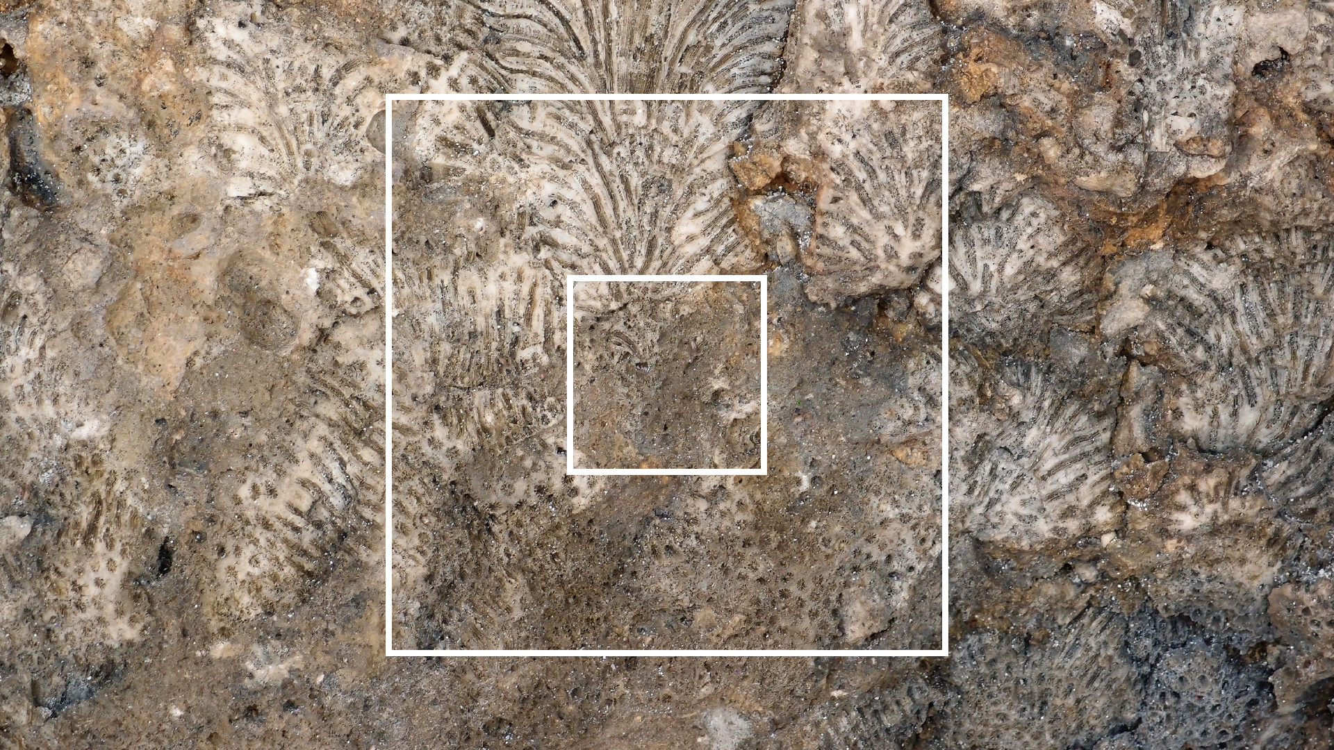 2022-04-15 Playa Kalki (am Strand und im Wasser) (Foto, Video)