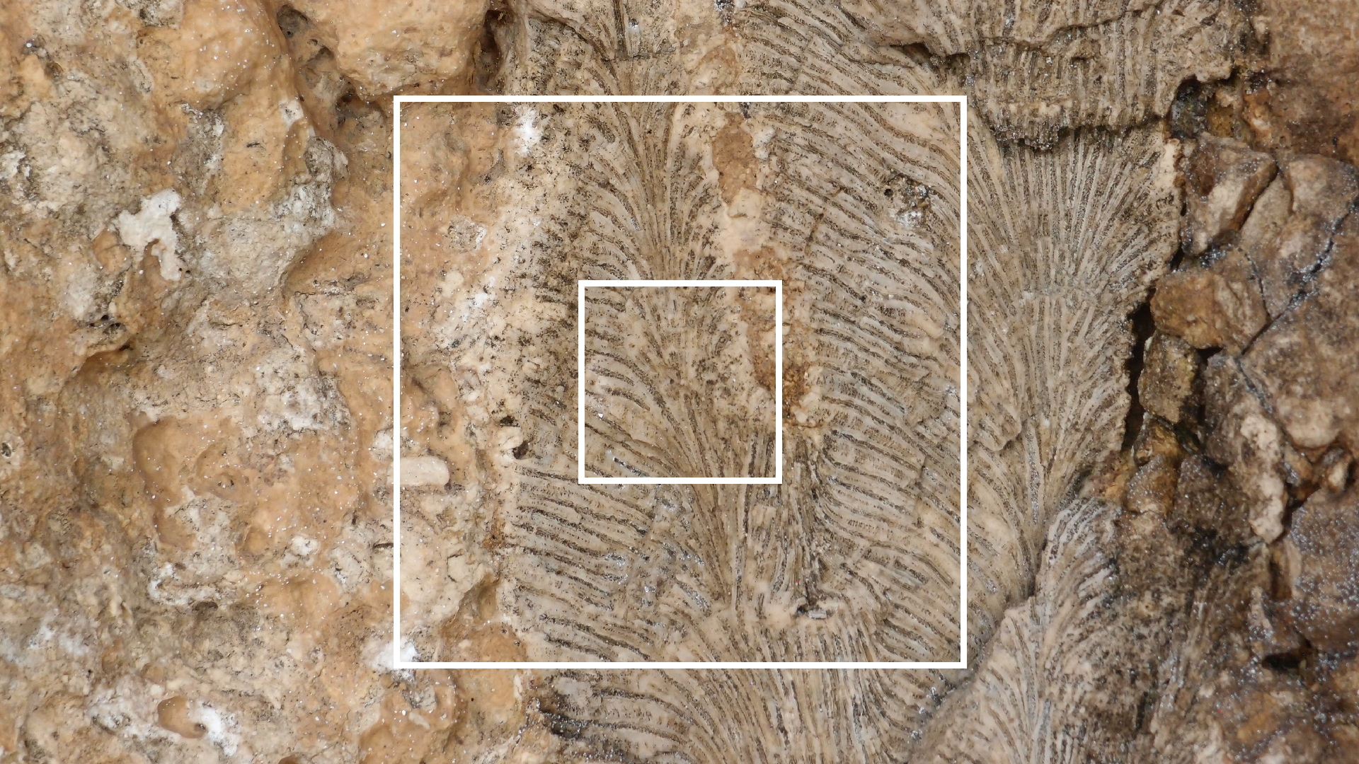 2022-04-15 Playa Kalki (am Strand und im Wasser) (Foto, Video)