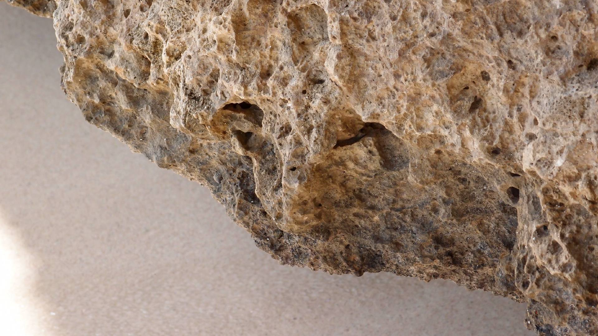 2022-04-15 Playa Kalki (am Strand und im Wasser) (Foto, Video)