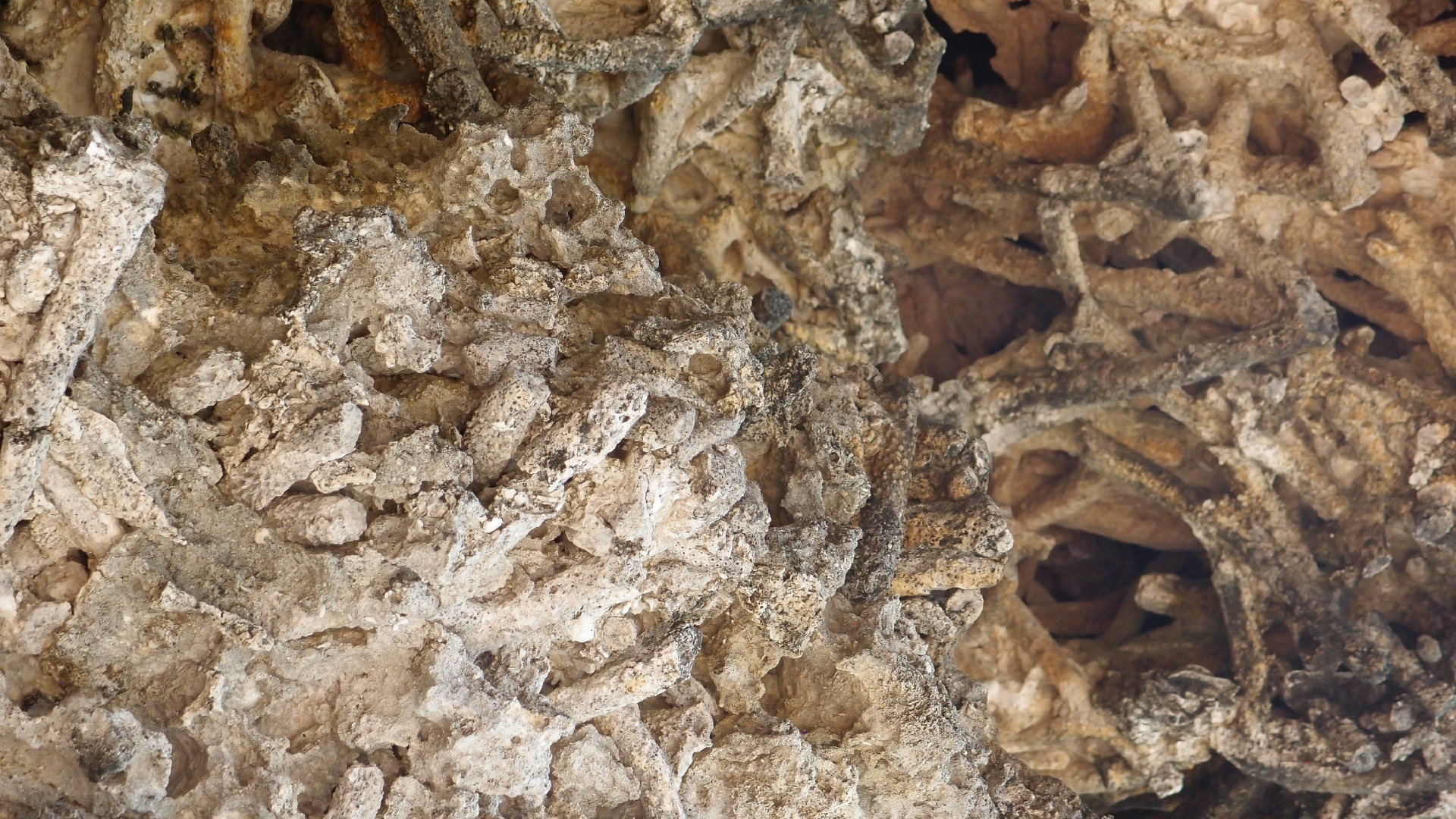 2022-04-15 Playa Kalki (am Strand und im Wasser) (Foto, Video)