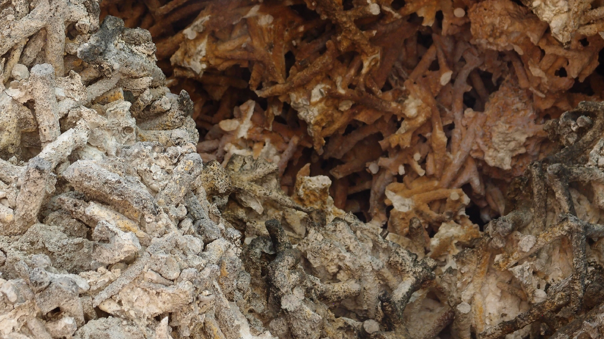 2022-04-15 Playa Kalki (am Strand und im Wasser) (Foto, Video)