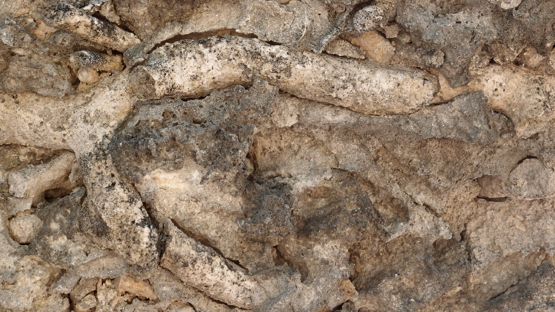 2022-04-15 Playa Kalki (am Strand und im Wasser) (Foto, Video)