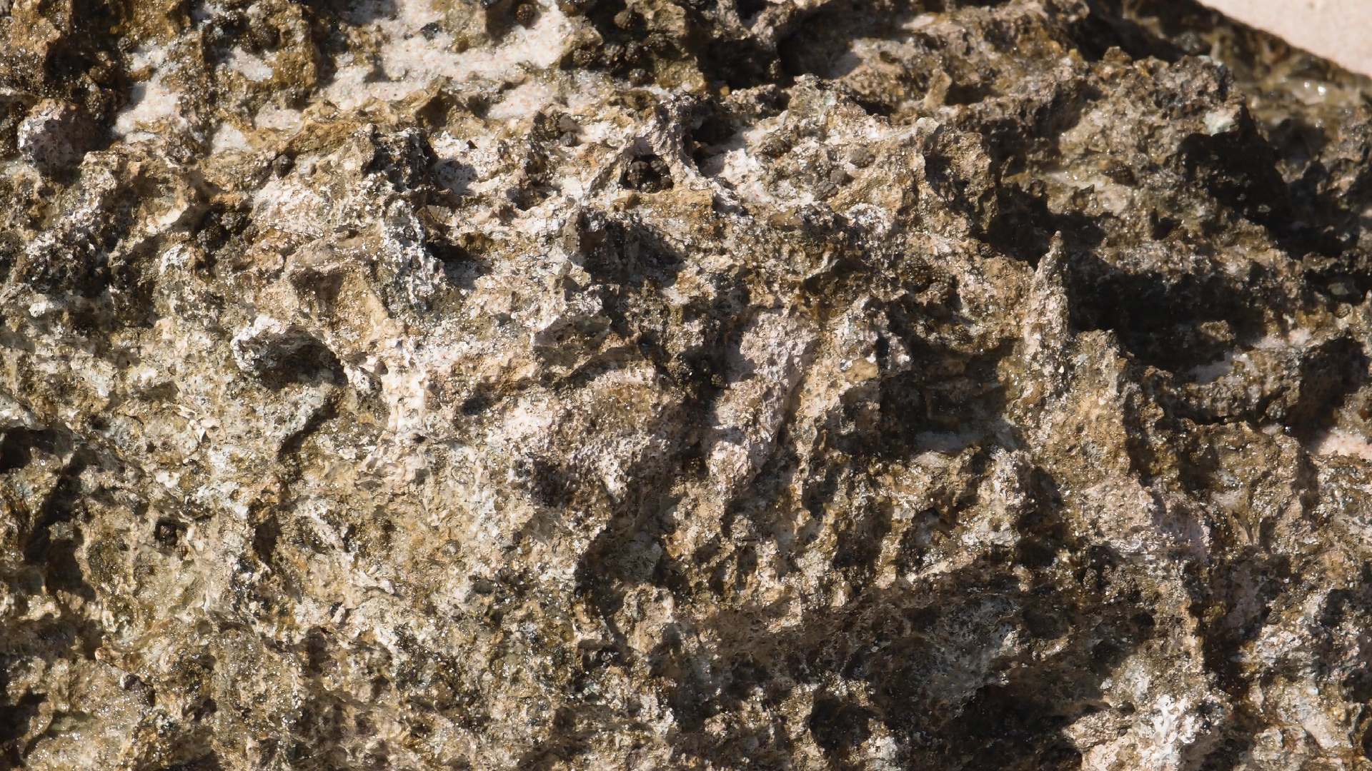 2022-04-15 Playa Kalki (am Strand und im Wasser) (Foto, Video)