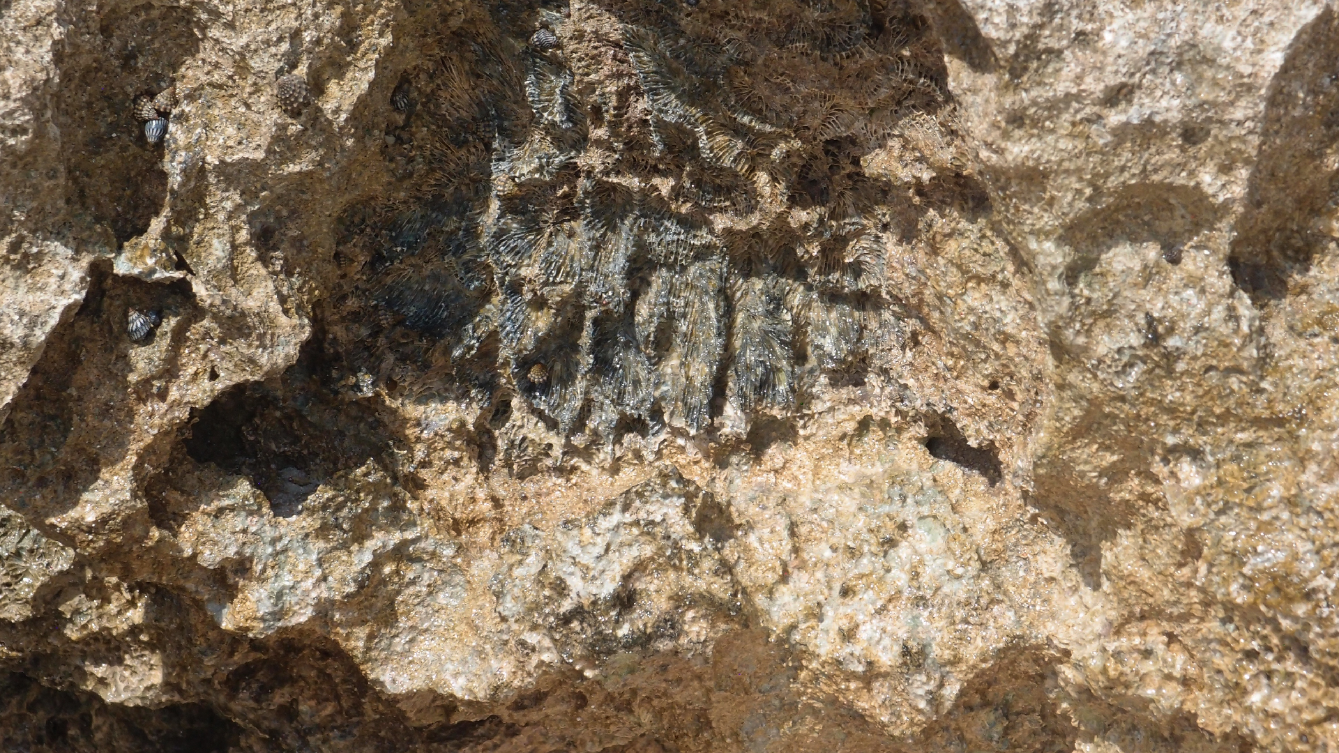 2022-04-15 Playa Kalki (am Strand und im Wasser) (Foto, Video)