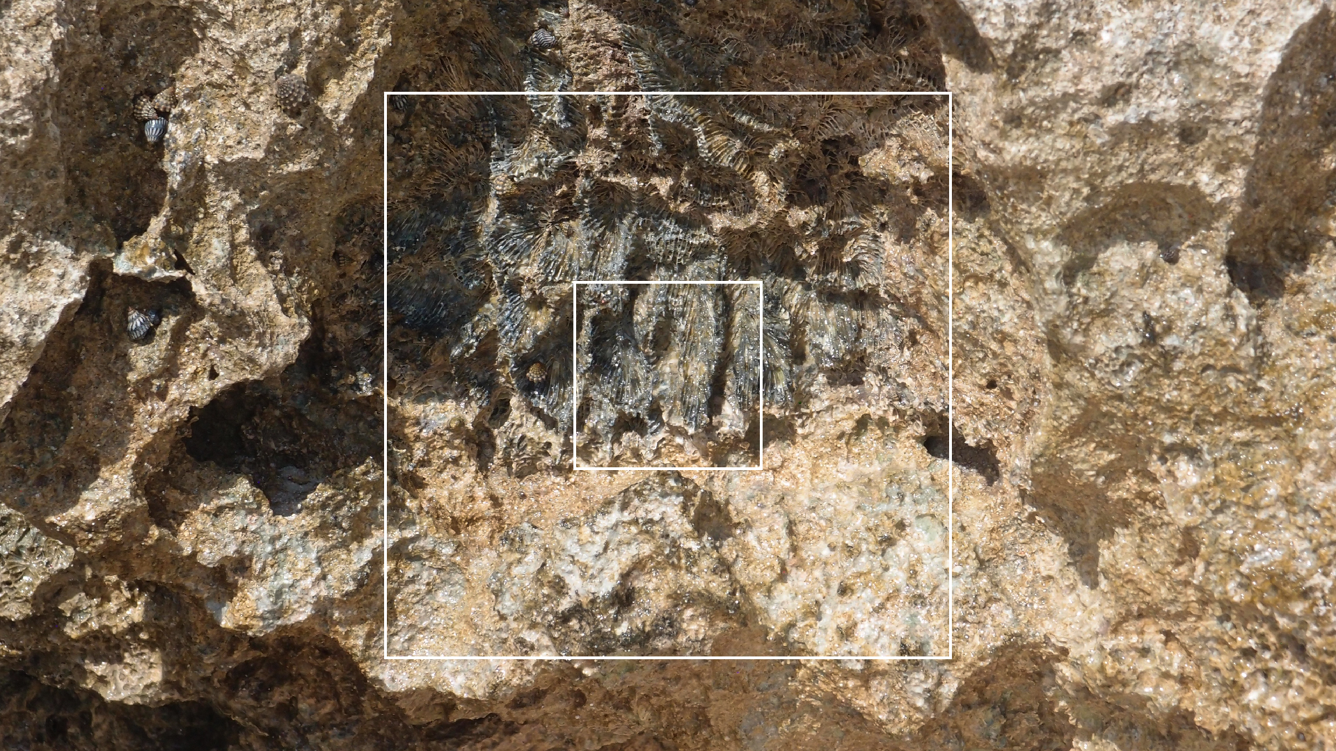 2022-04-15 Playa Kalki (am Strand und im Wasser) (Foto, Video)