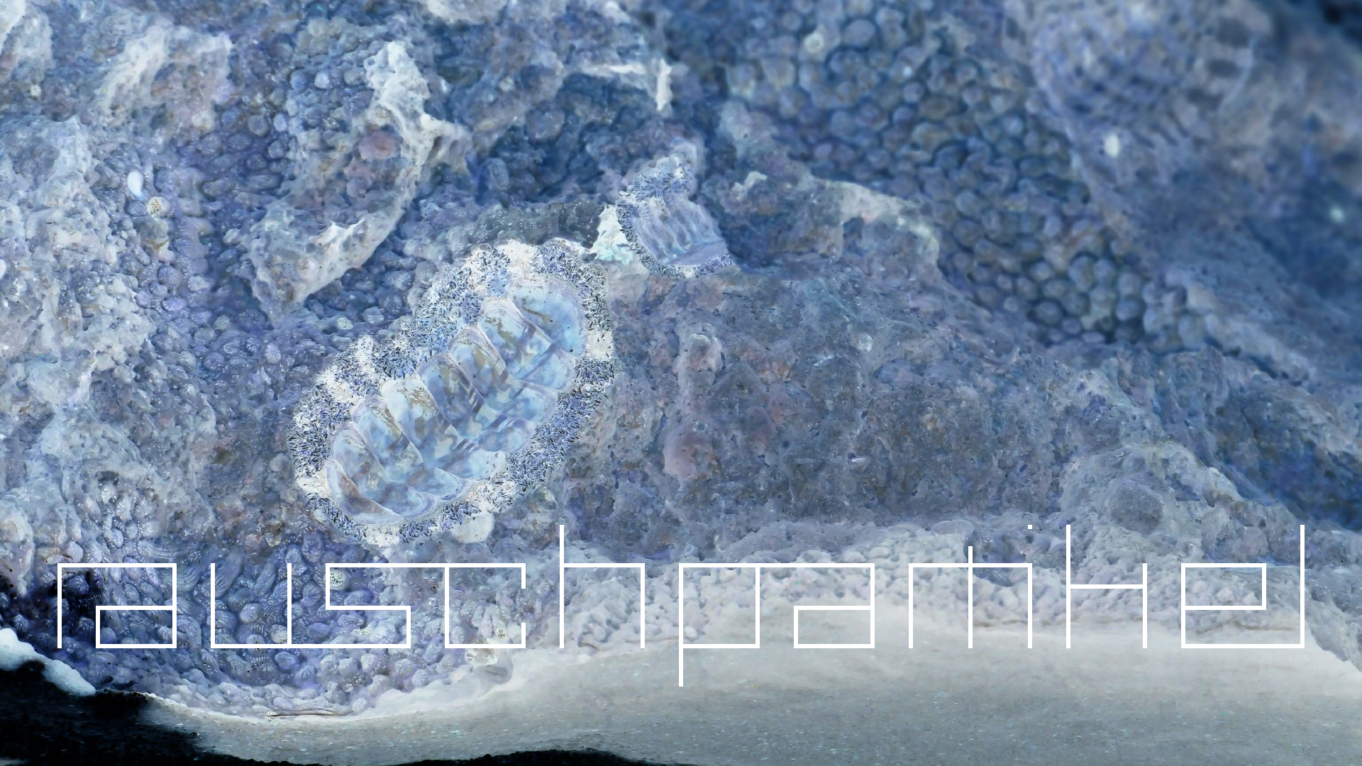 2022-04-15 Playa Kalki (am Strand und im Wasser) (Foto, Video)