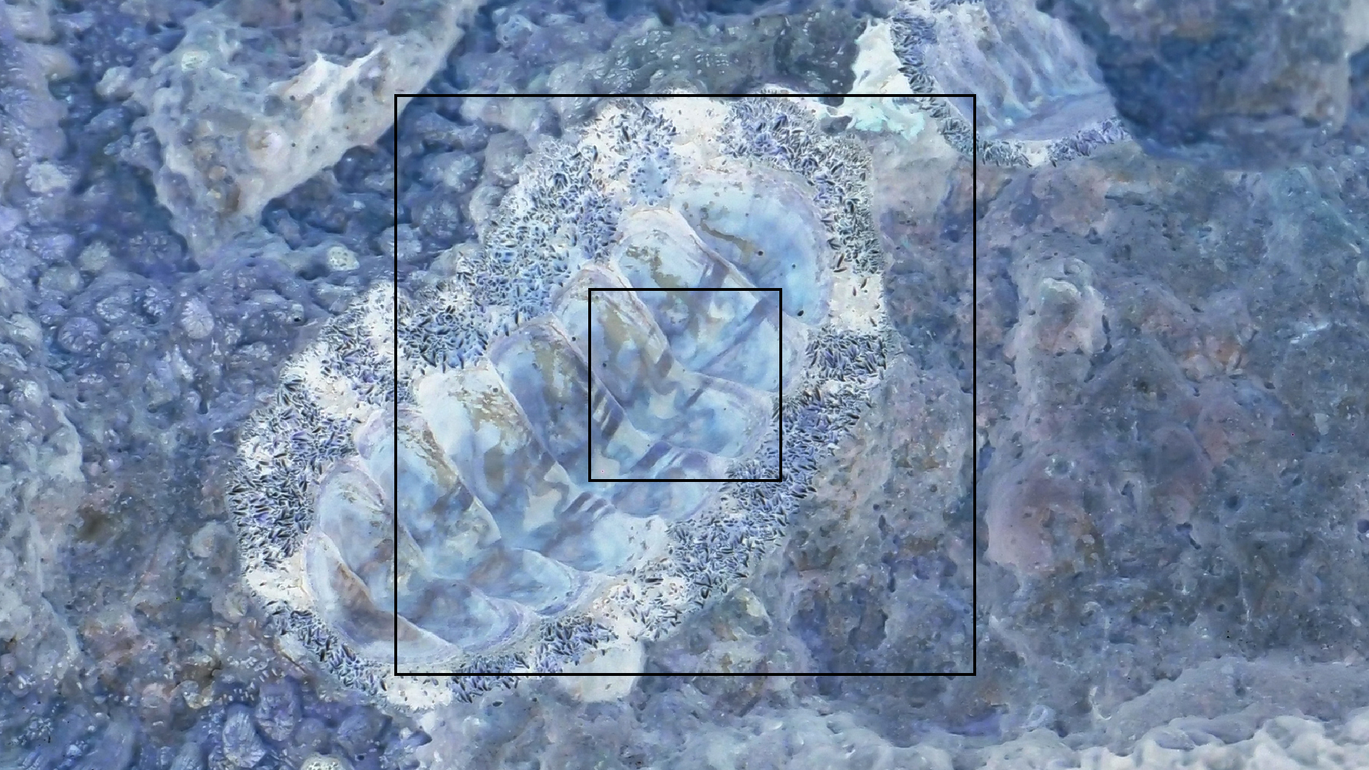 2022-04-15 Playa Kalki (am Strand und im Wasser) (Foto, Video)