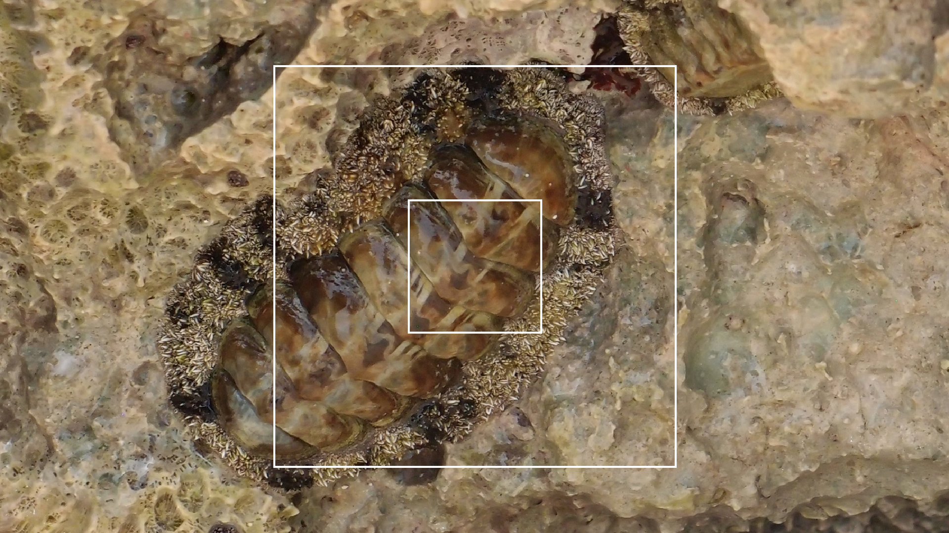 2022-04-15 Playa Kalki (am Strand und im Wasser) (Foto, Video)