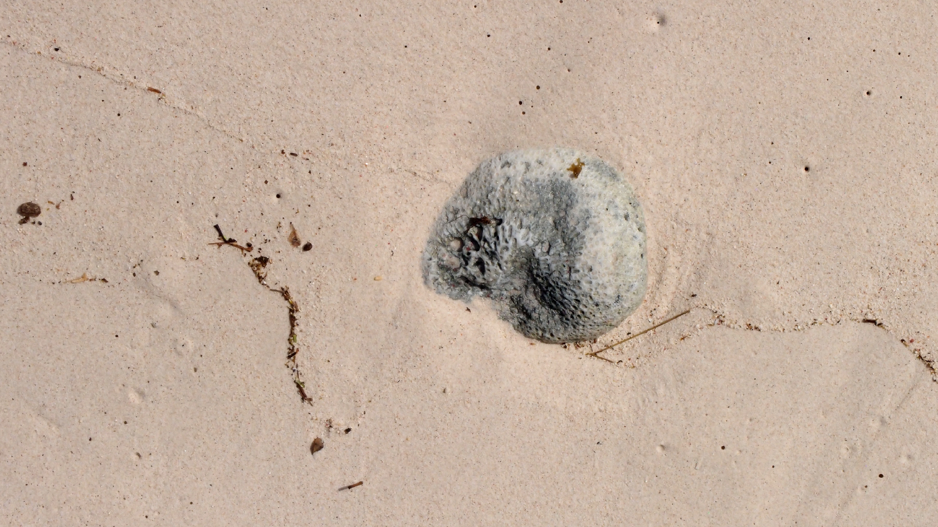 2022-04-15 Playa Kalki (am Strand und im Wasser) (Foto, Video)