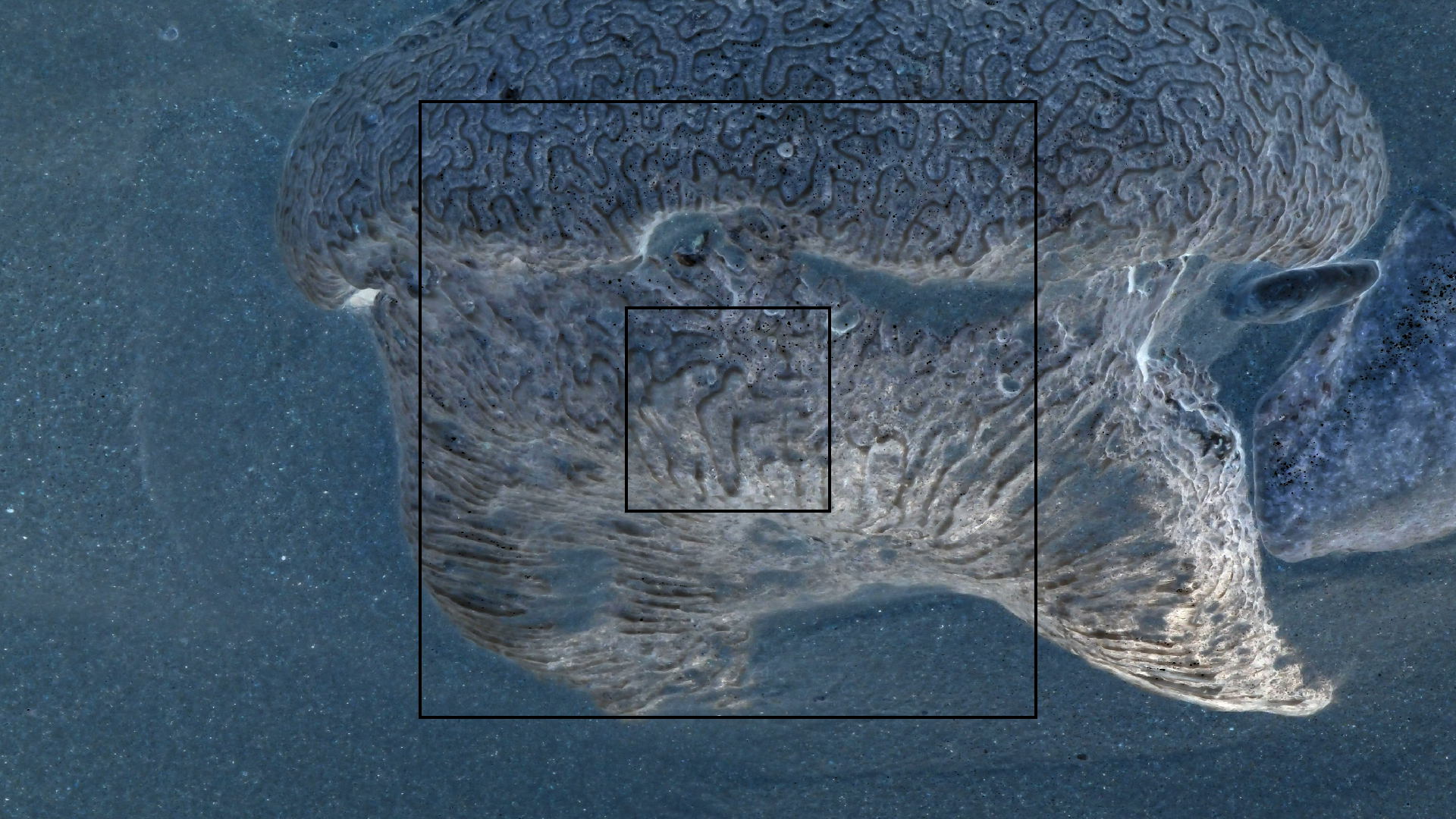 2022-04-15 Playa Kalki (am Strand und im Wasser) (Foto, Video)