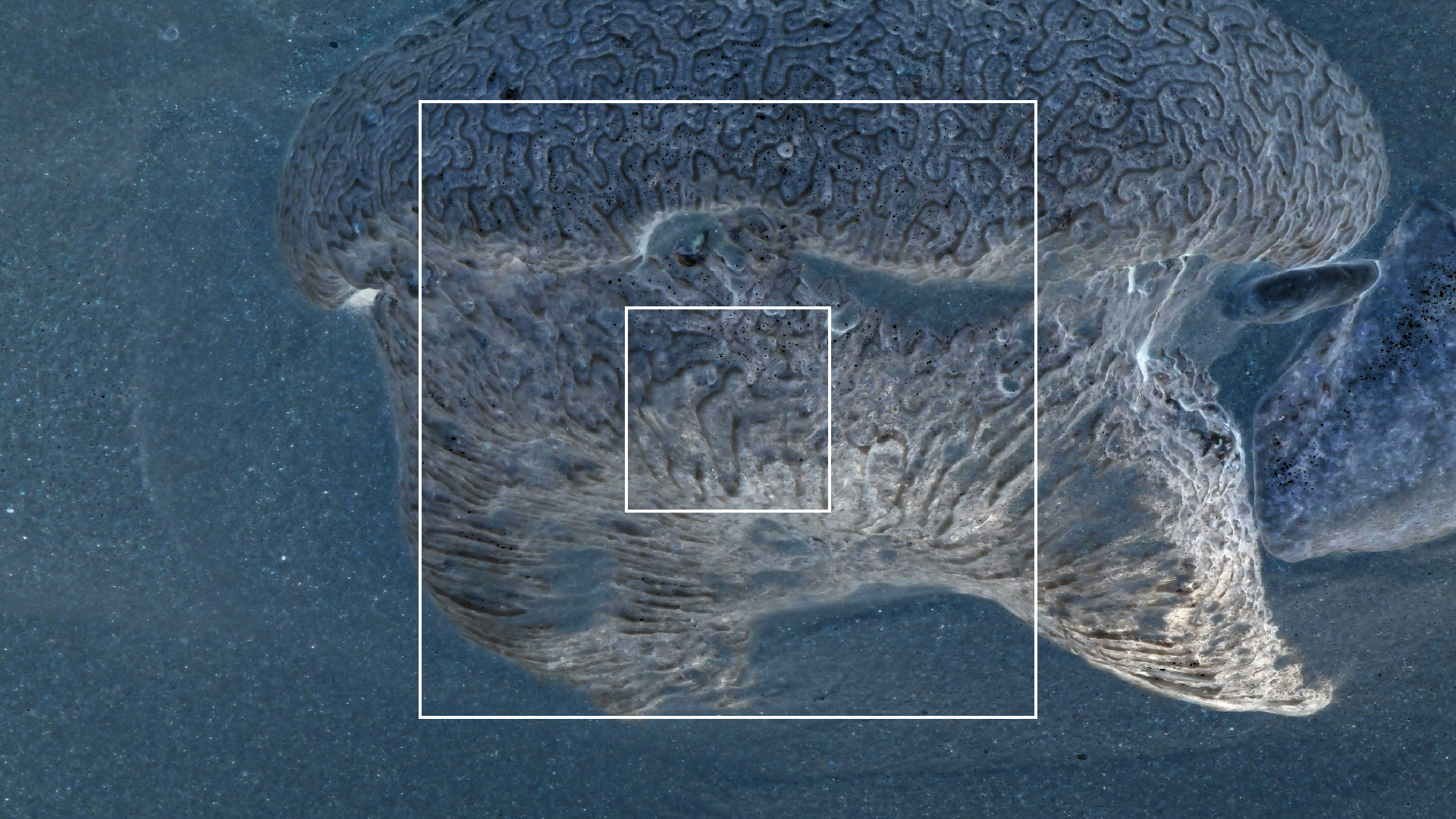 2022-04-15 Playa Kalki (am Strand und im Wasser) (Foto, Video)