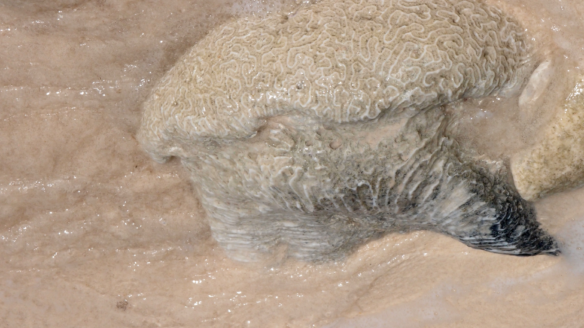 2022-04-15 Playa Kalki (am Strand und im Wasser) (Foto, Video)