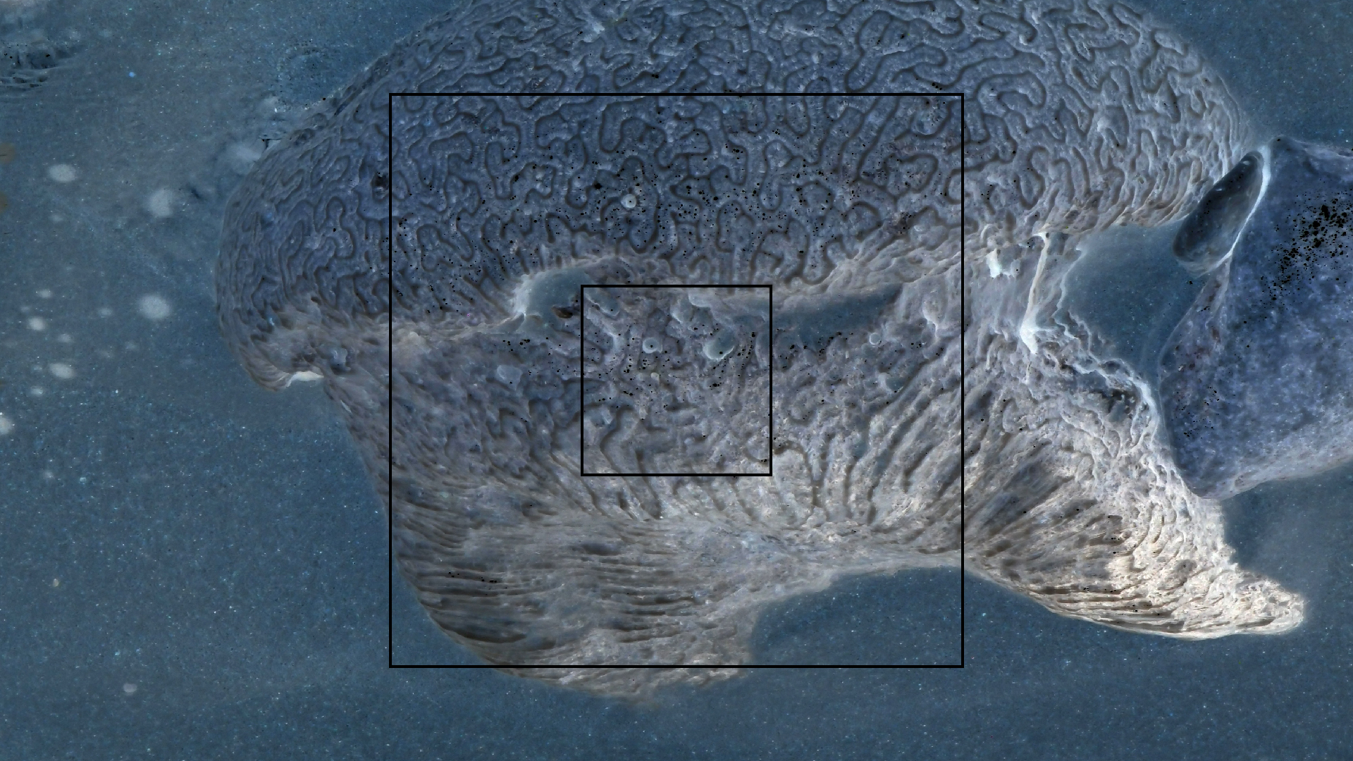 2022-04-15 Playa Kalki (am Strand und im Wasser) (Foto, Video)