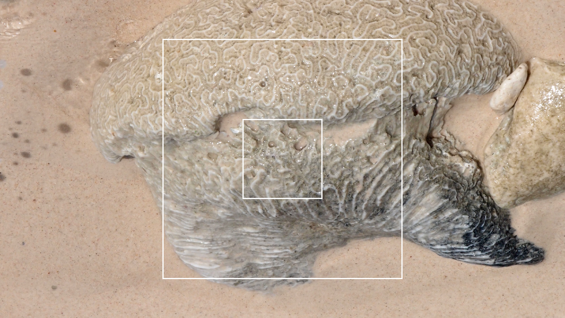 2022-04-15 Playa Kalki (am Strand und im Wasser) (Foto, Video)