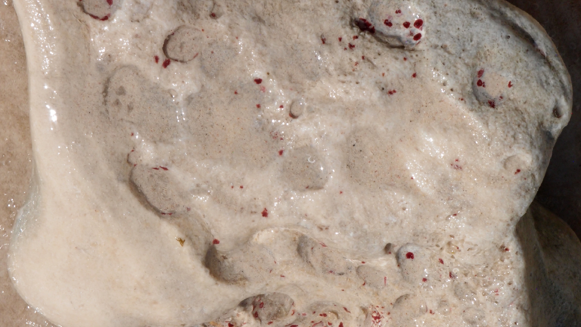 2022-04-15 Playa Kalki (am Strand und im Wasser) (Foto, Video)