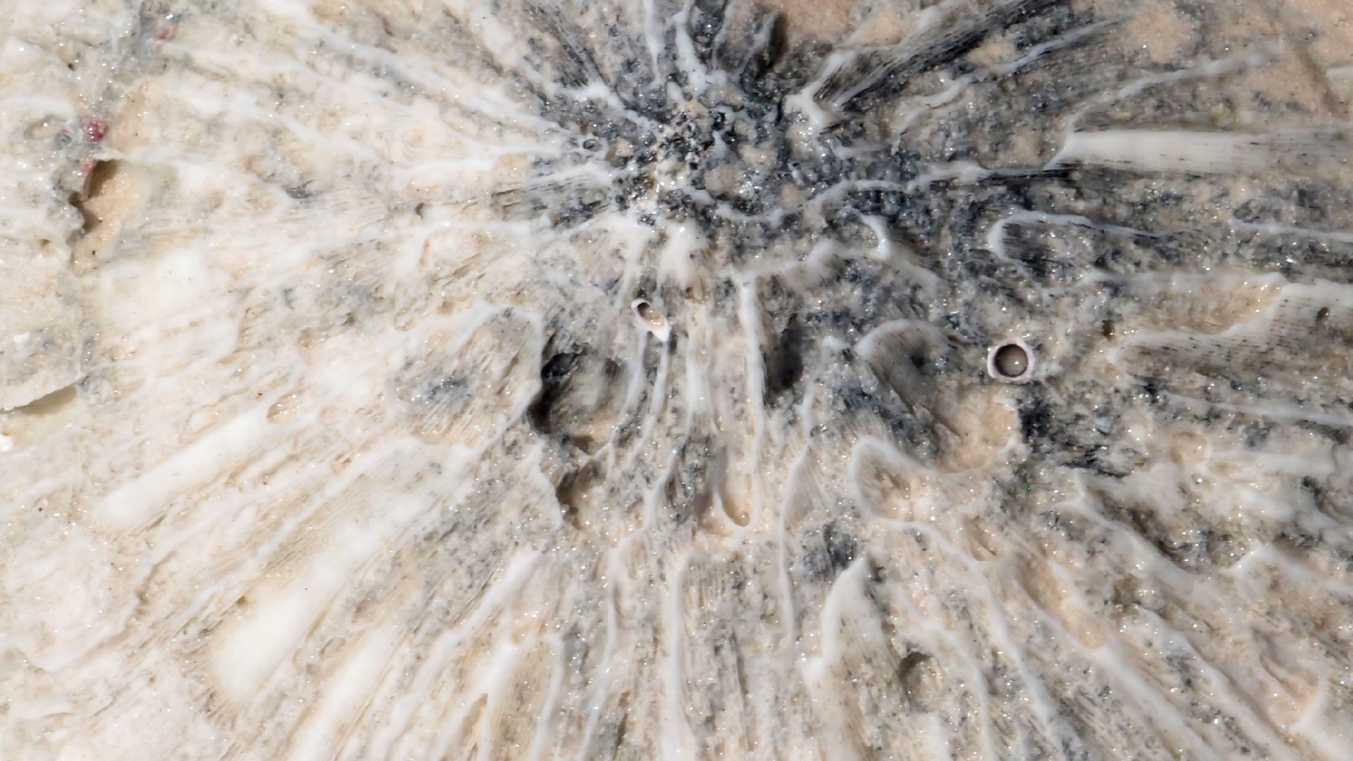 2022-04-15 Playa Kalki (am Strand und im Wasser) (Foto, Video)