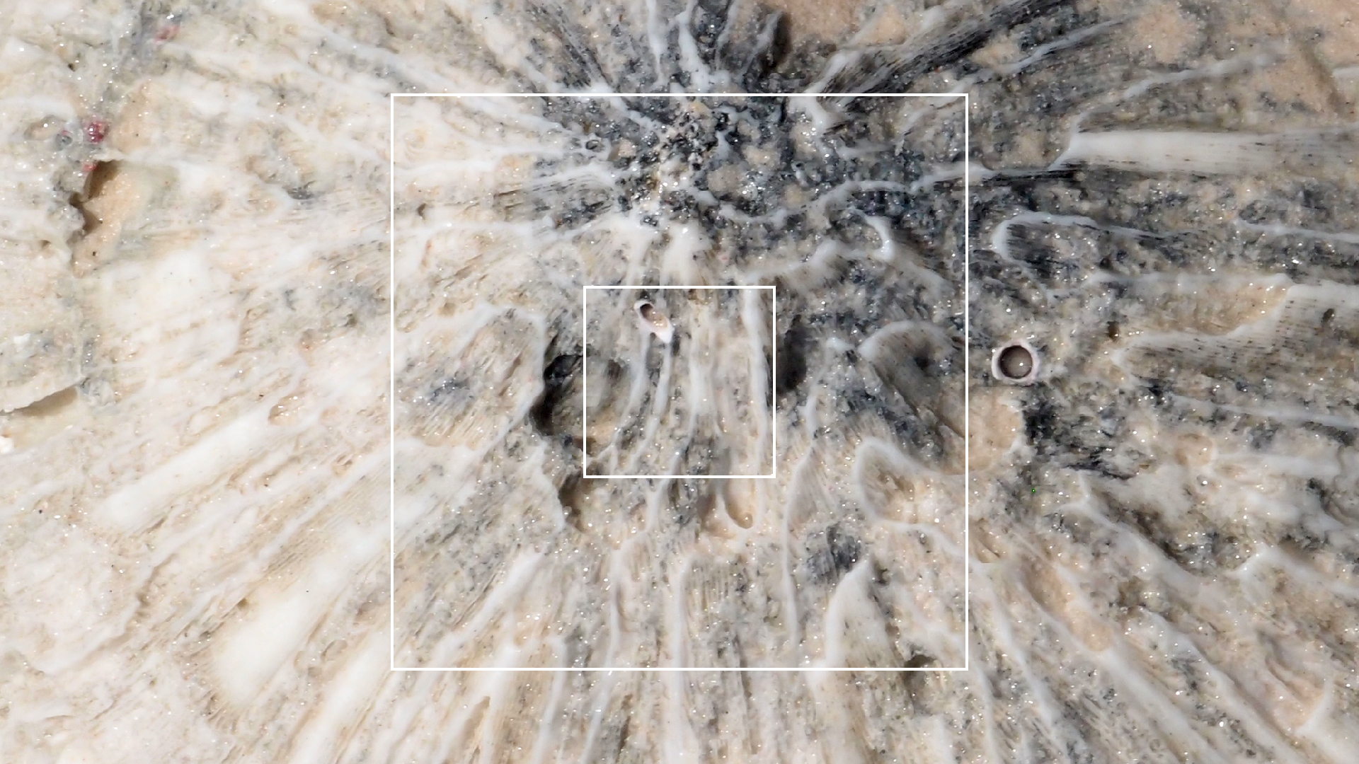 2022-04-15 Playa Kalki (am Strand und im Wasser) (Foto, Video)