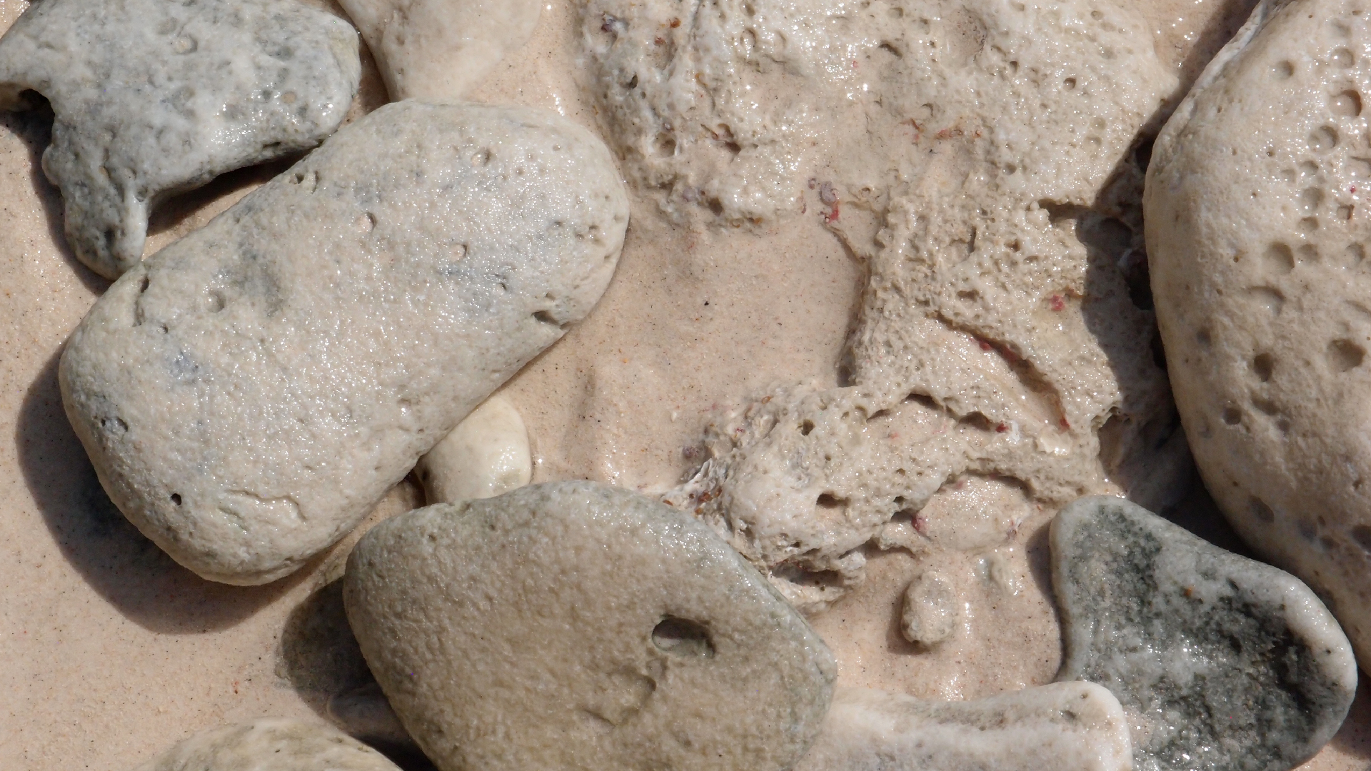 2022-04-15 Playa Kalki (am Strand und im Wasser) (Foto, Video)