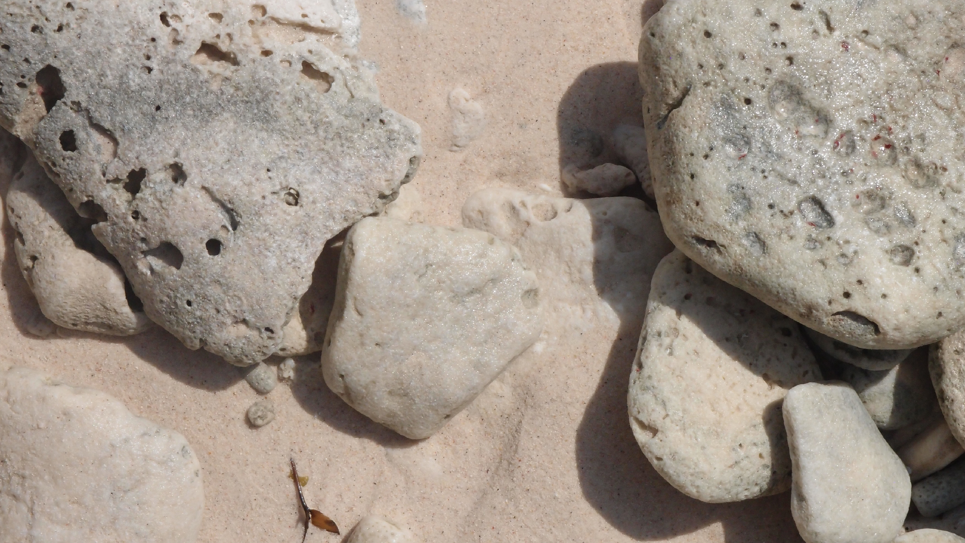 2022-04-15 Playa Kalki (am Strand und im Wasser) (Foto, Video)