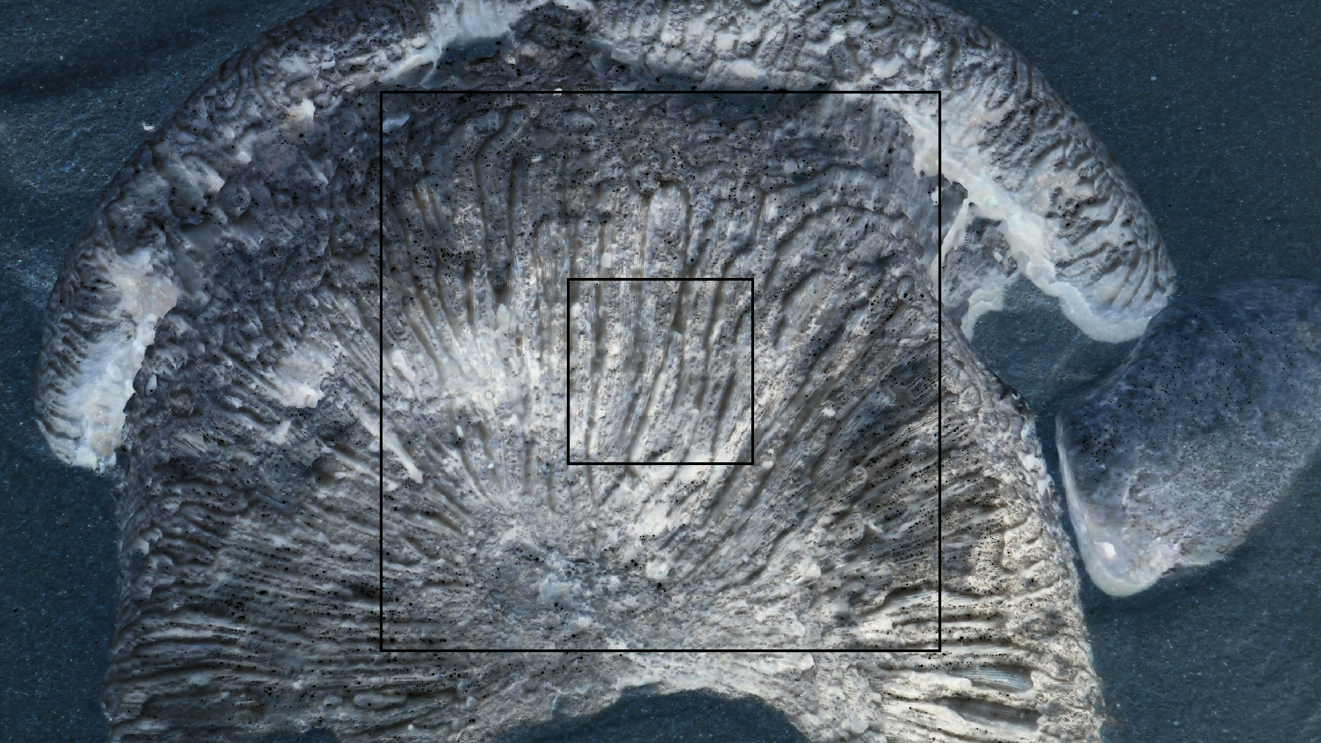 2022-04-15 Playa Kalki (am Strand und im Wasser) (Foto, Video)