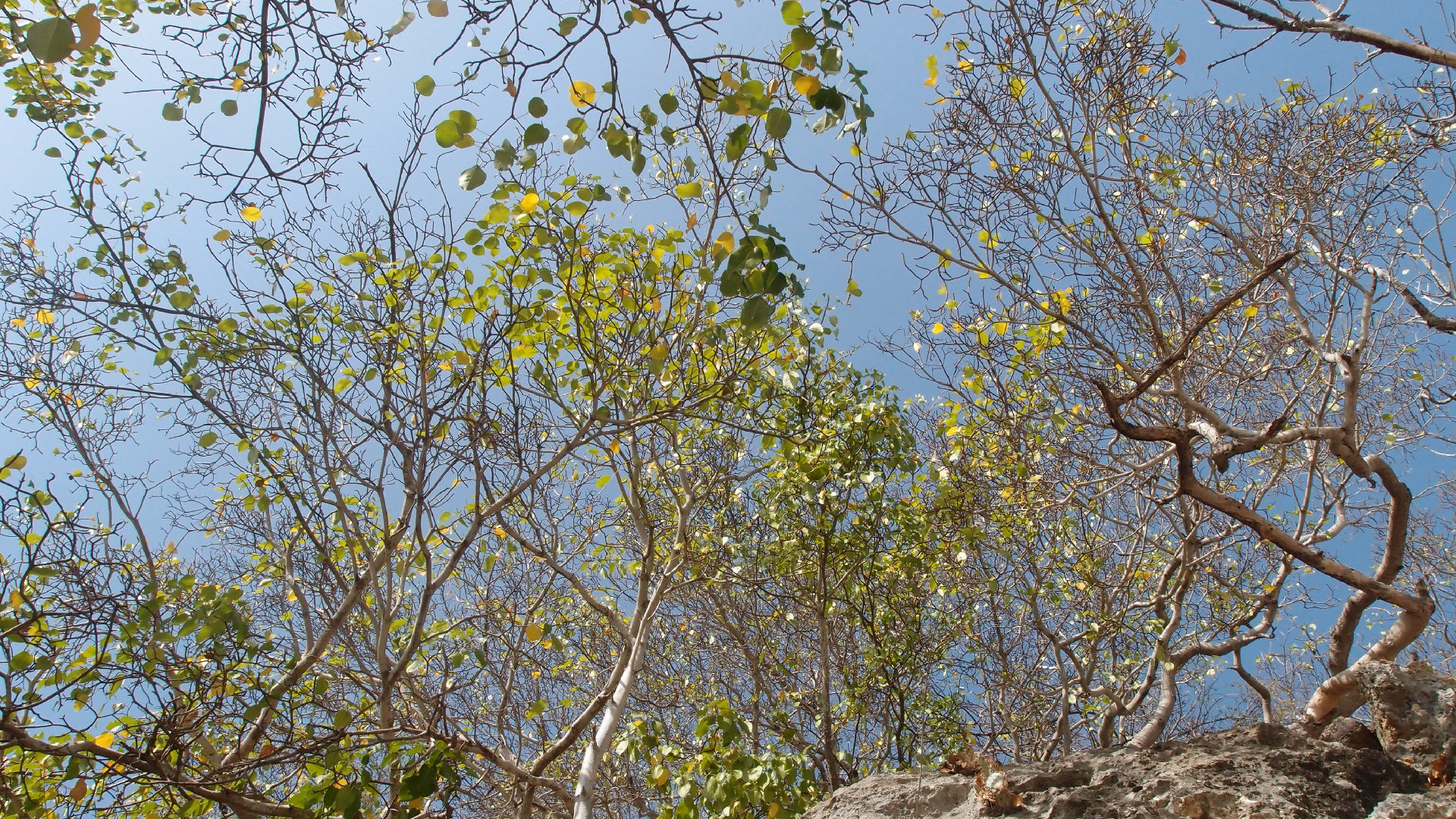 2022-04-15 Playa Kalki (am Strand und im Wasser) (Foto, Video)