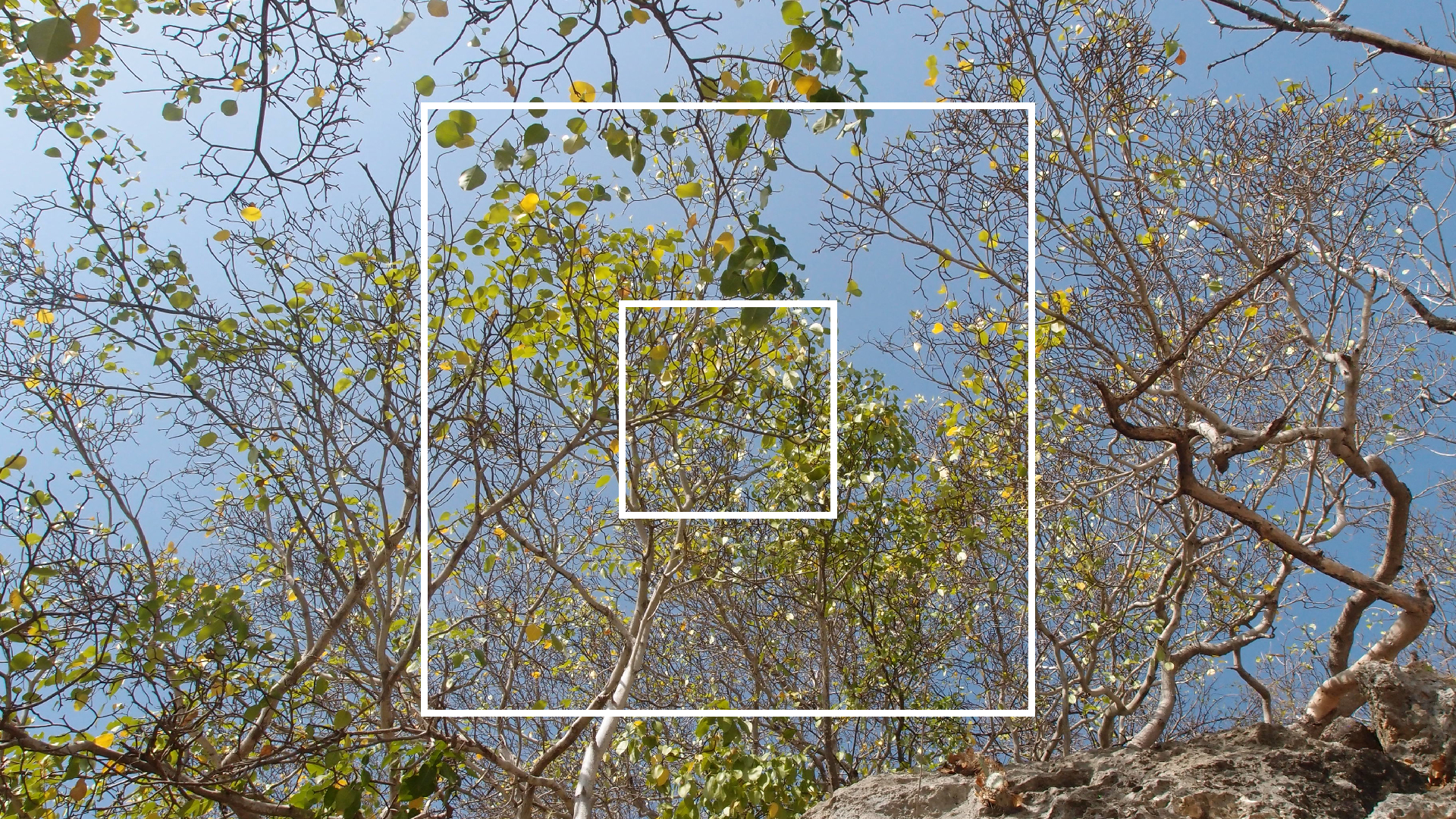 2022-04-15 Playa Kalki (am Strand und im Wasser) (Foto, Video)