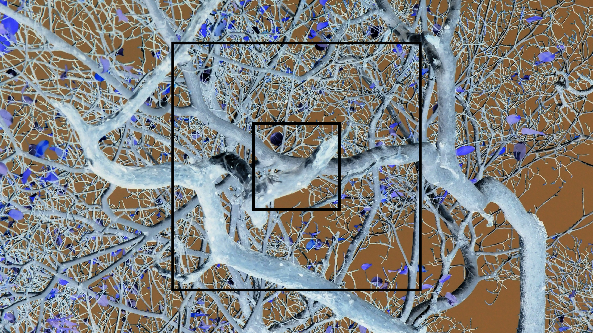 2022-04-15 Playa Kalki (am Strand und im Wasser) (Foto, Video)