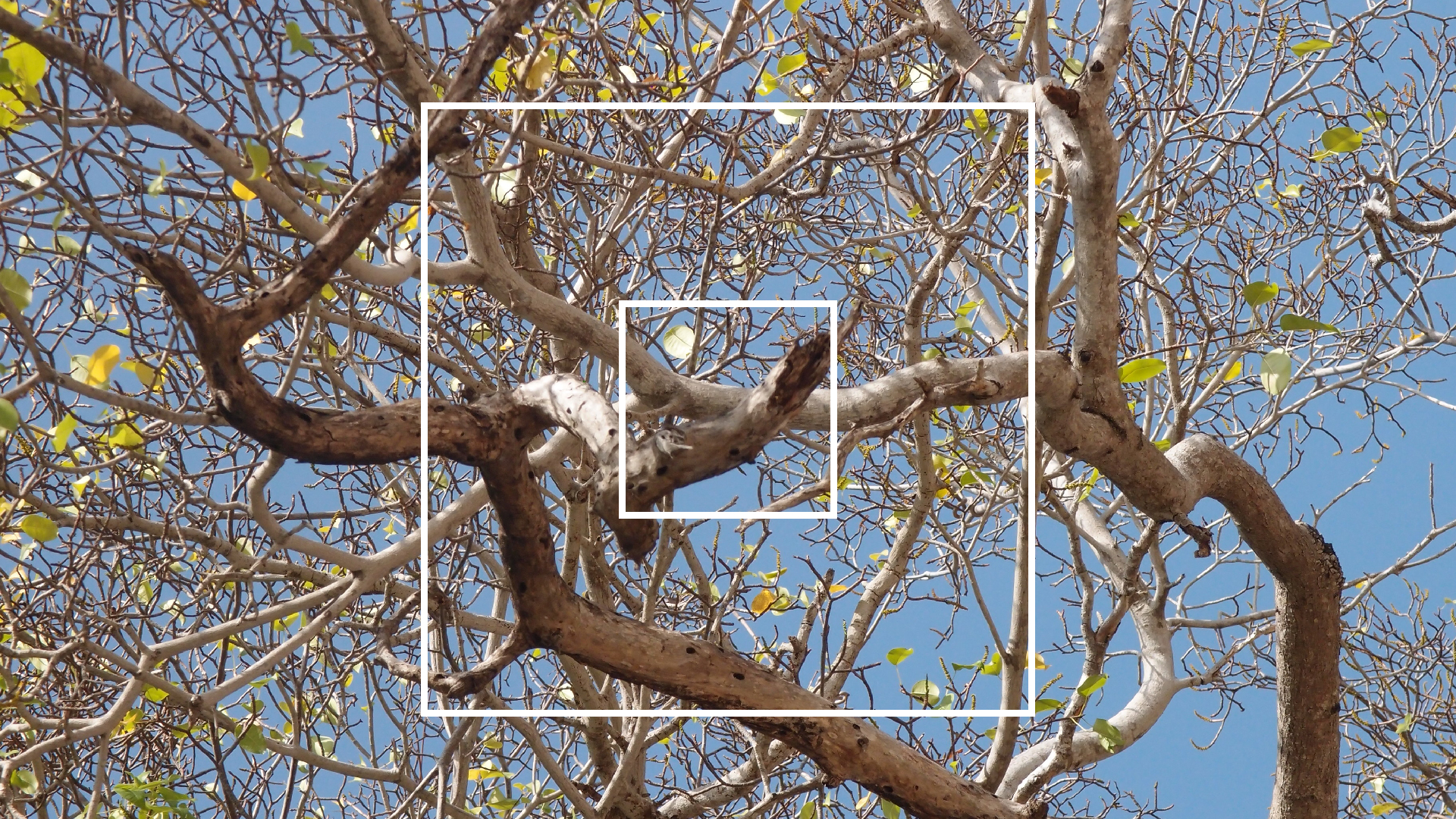 2022-04-15 Playa Kalki (am Strand und im Wasser) (Foto, Video)