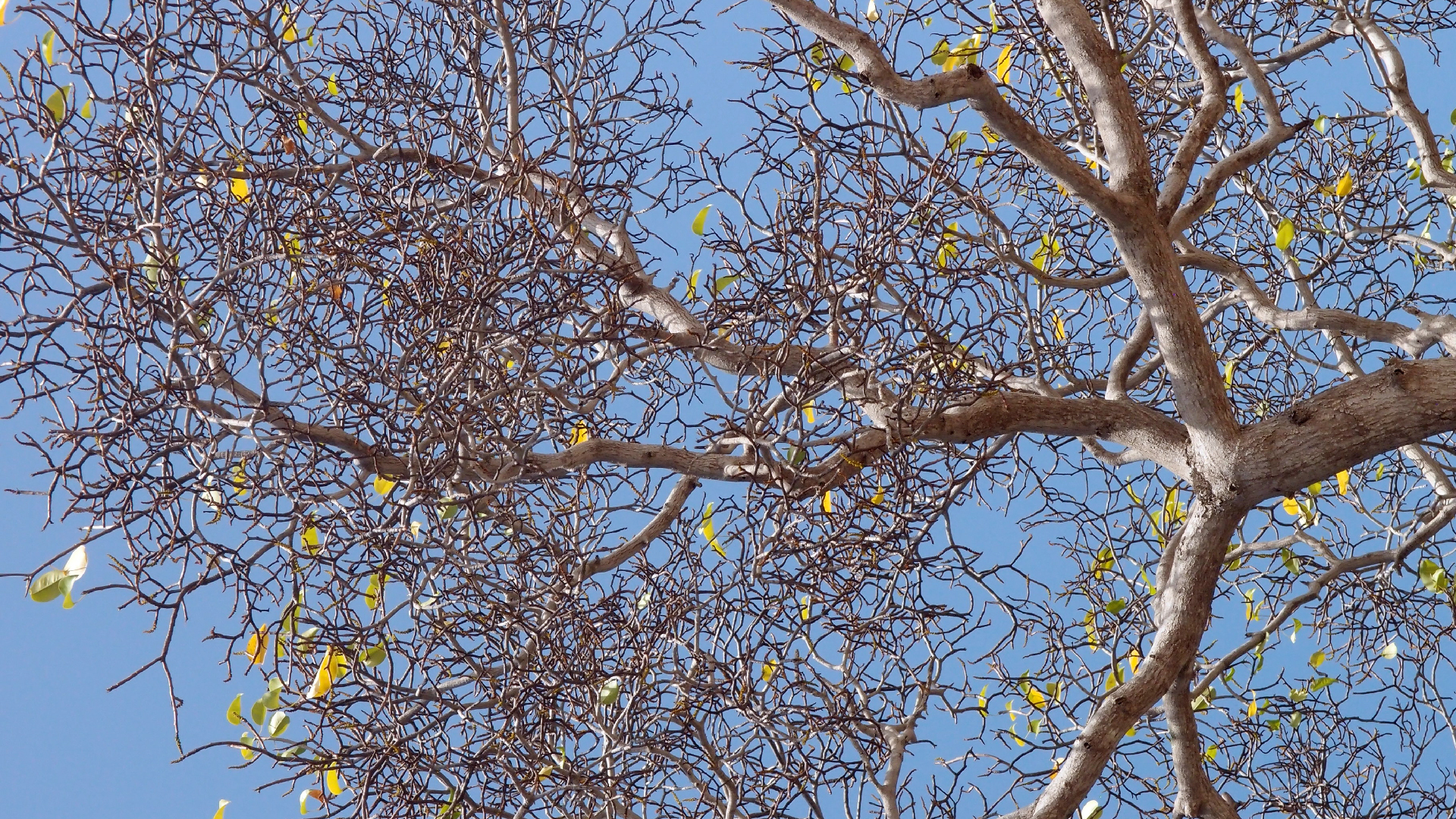 2022-04-15 Playa Kalki (am Strand und im Wasser) (Foto, Video)