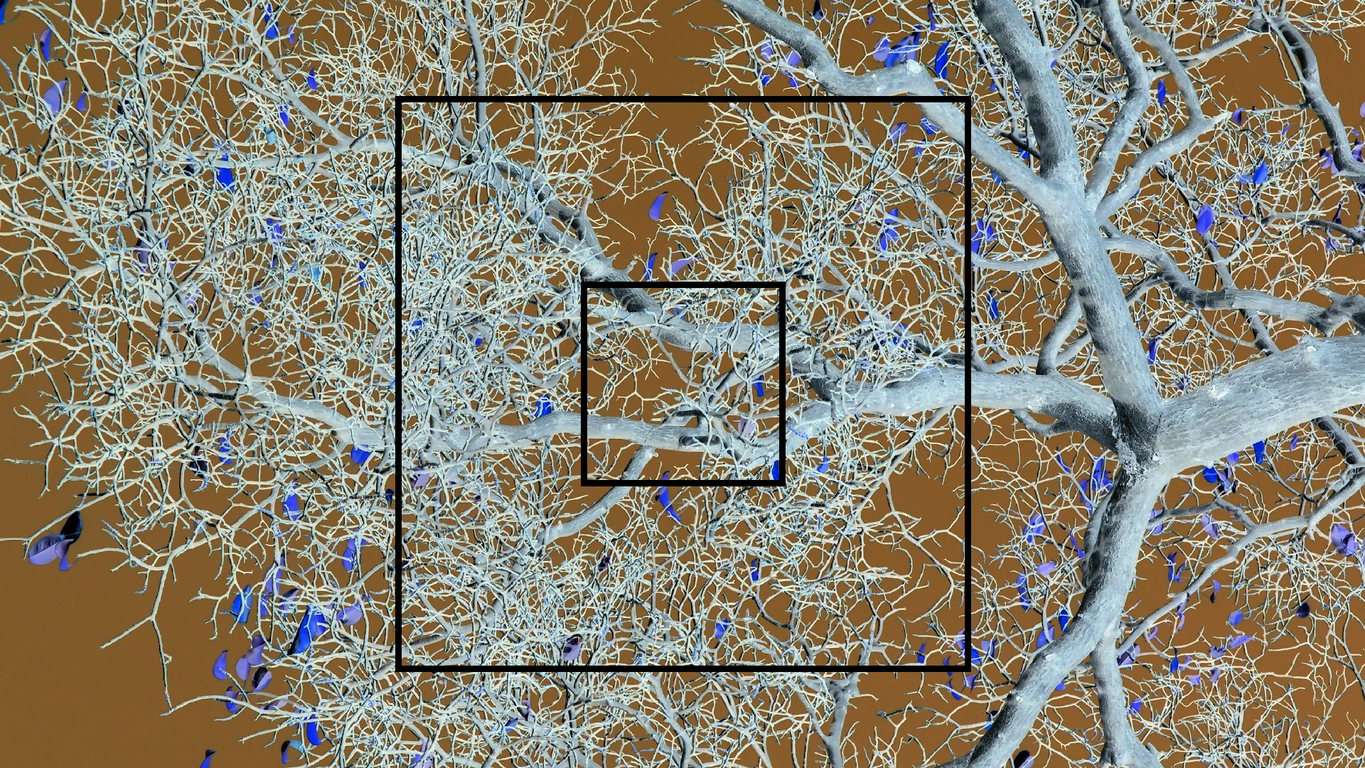 2022-04-15 Playa Kalki (am Strand und im Wasser) (Foto, Video)