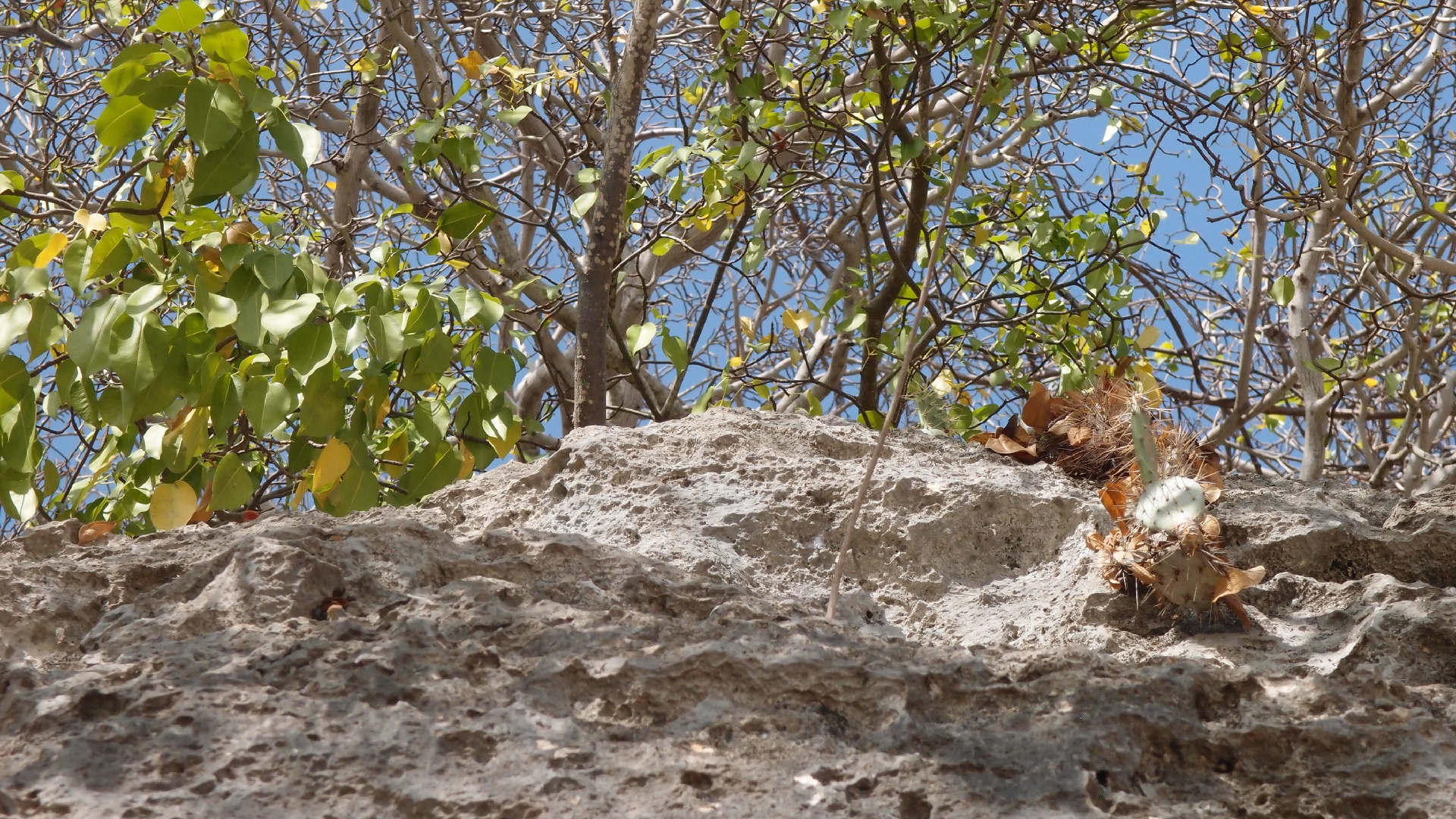 2022-04-15 Playa Kalki (am Strand und im Wasser) (Foto, Video)