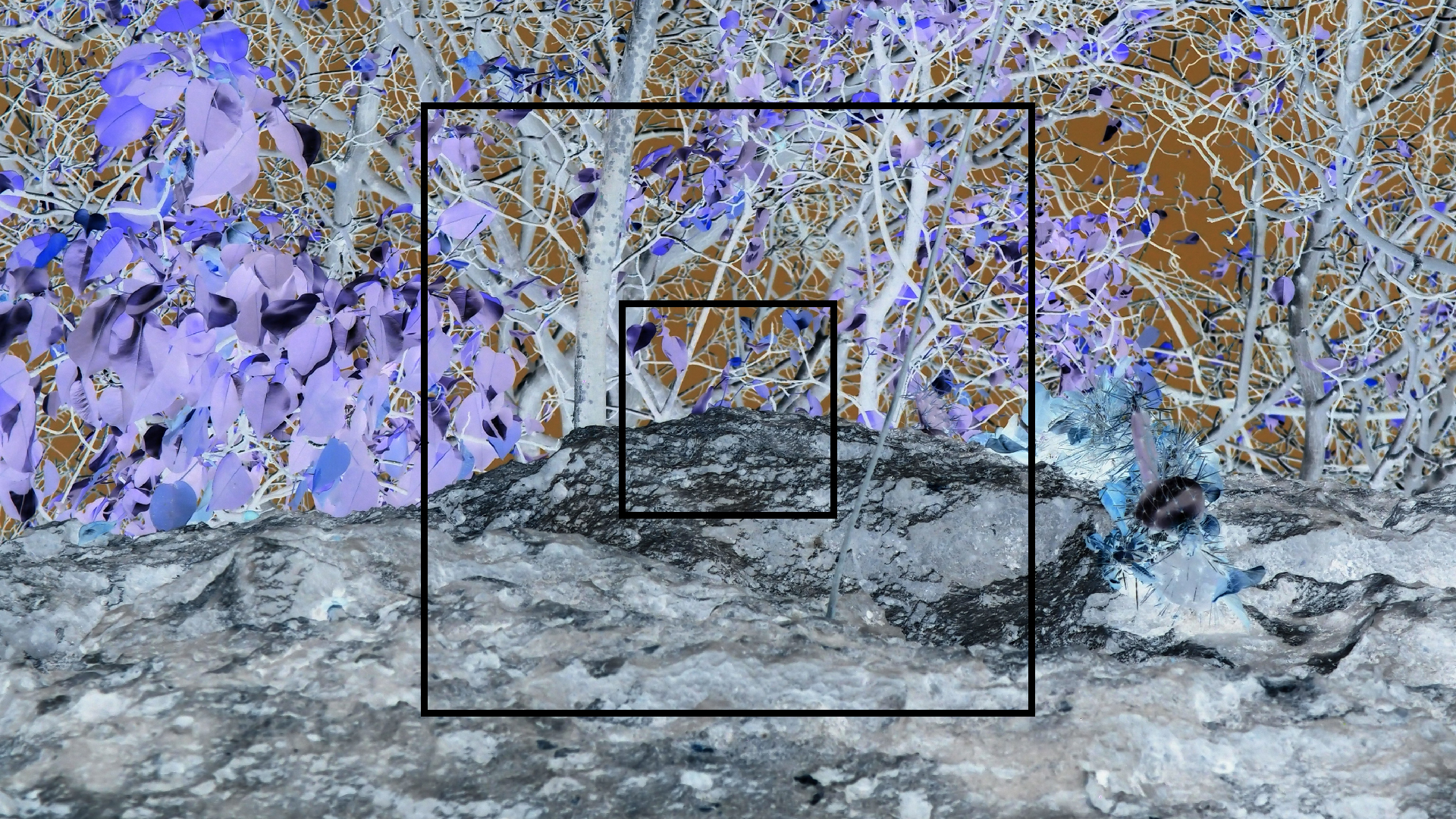 2022-04-15 Playa Kalki (am Strand und im Wasser) (Foto, Video)