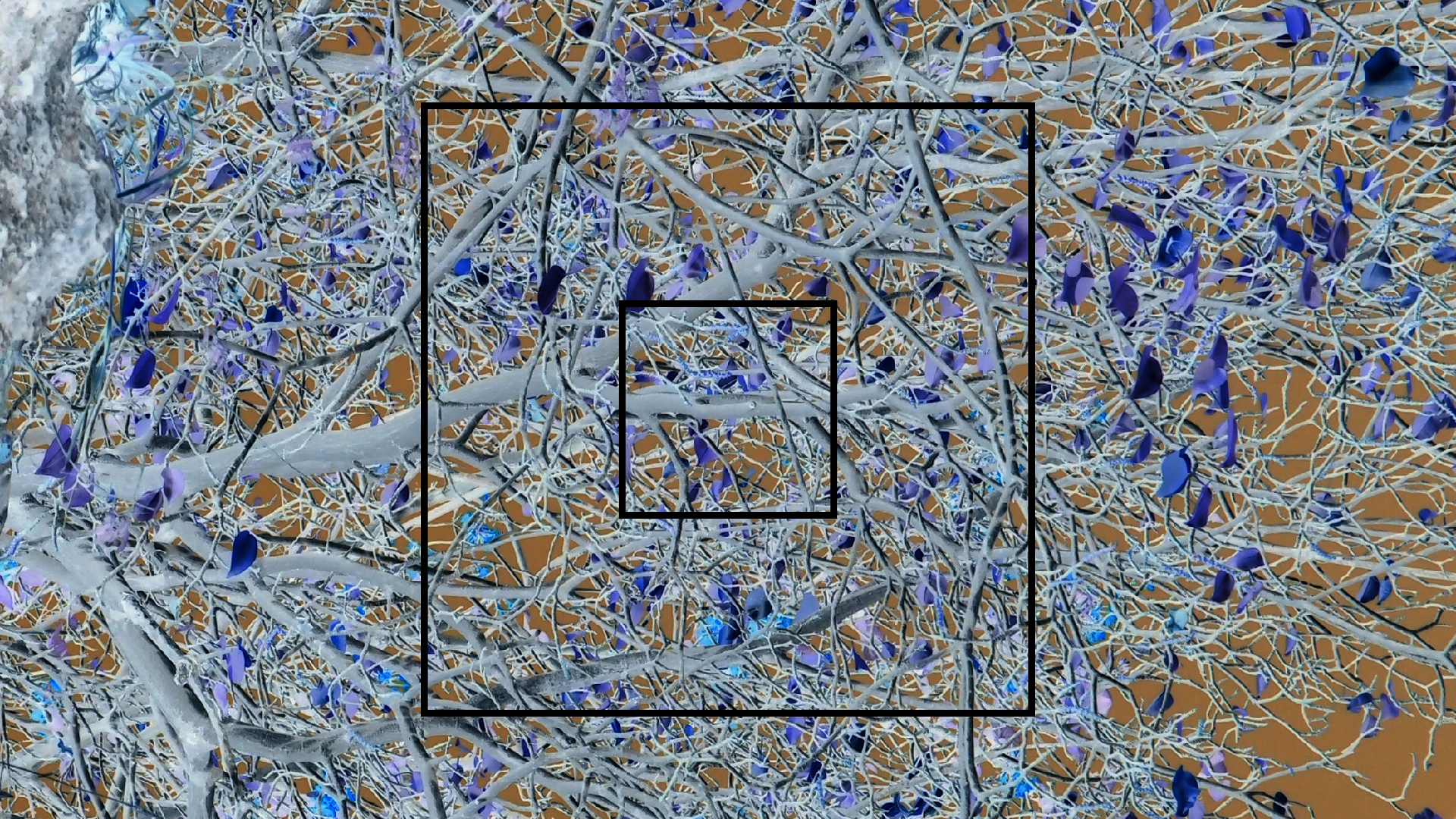 2022-04-15 Playa Kalki (am Strand und im Wasser) (Foto, Video)