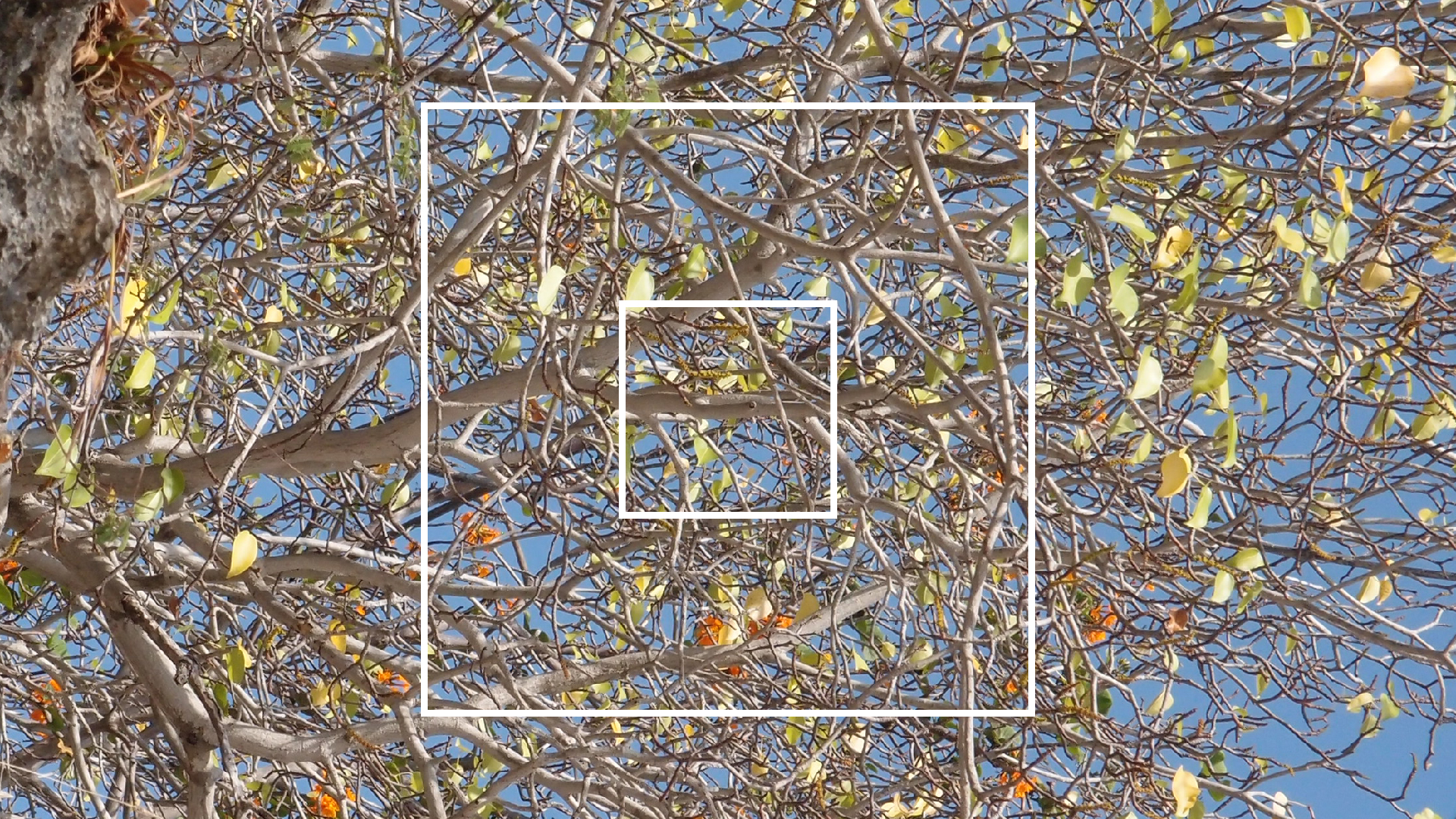 2022-04-15 Playa Kalki (am Strand und im Wasser) (Foto, Video)