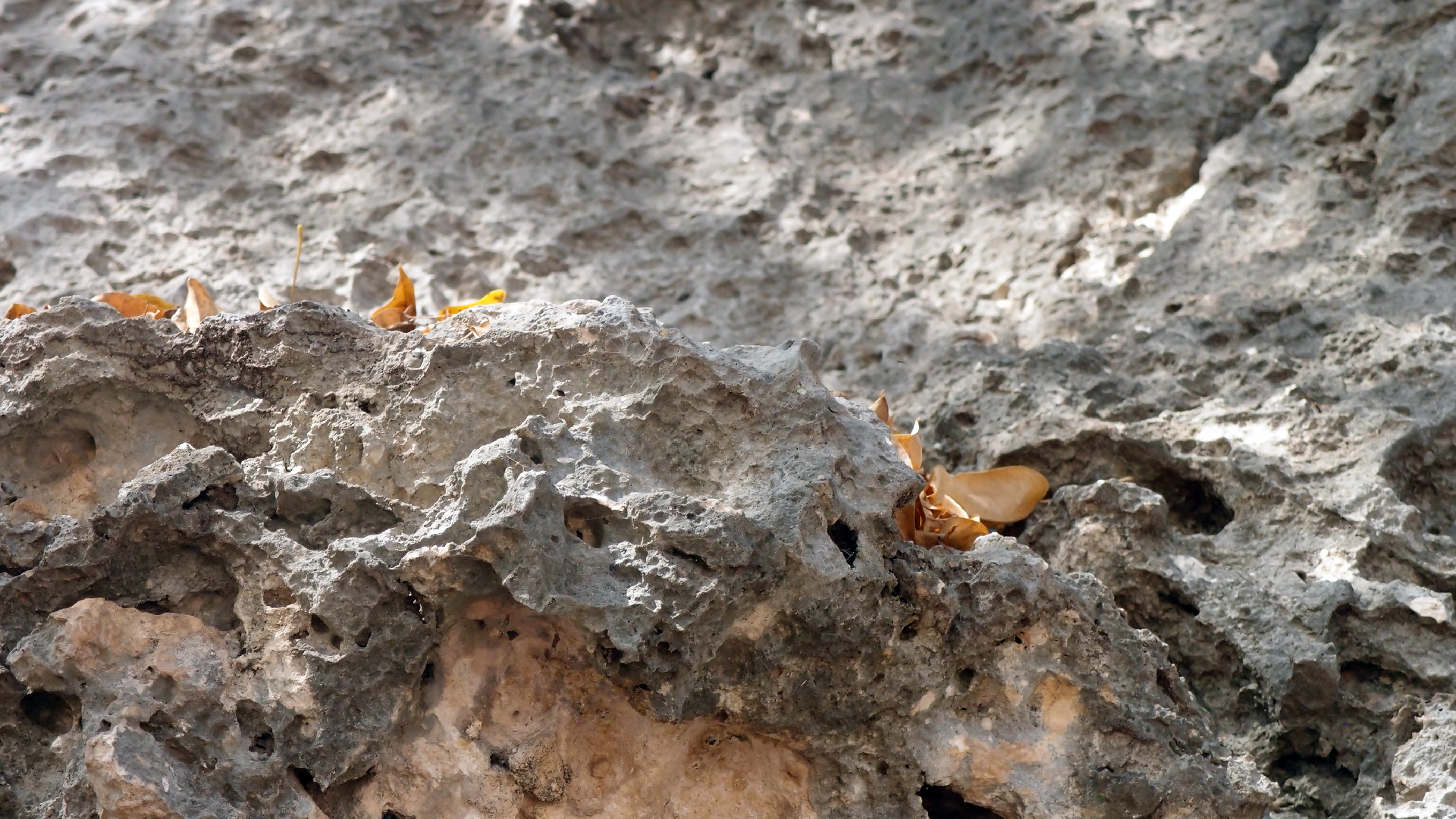 2022-04-15 Playa Kalki (am Strand und im Wasser) (Foto, Video)