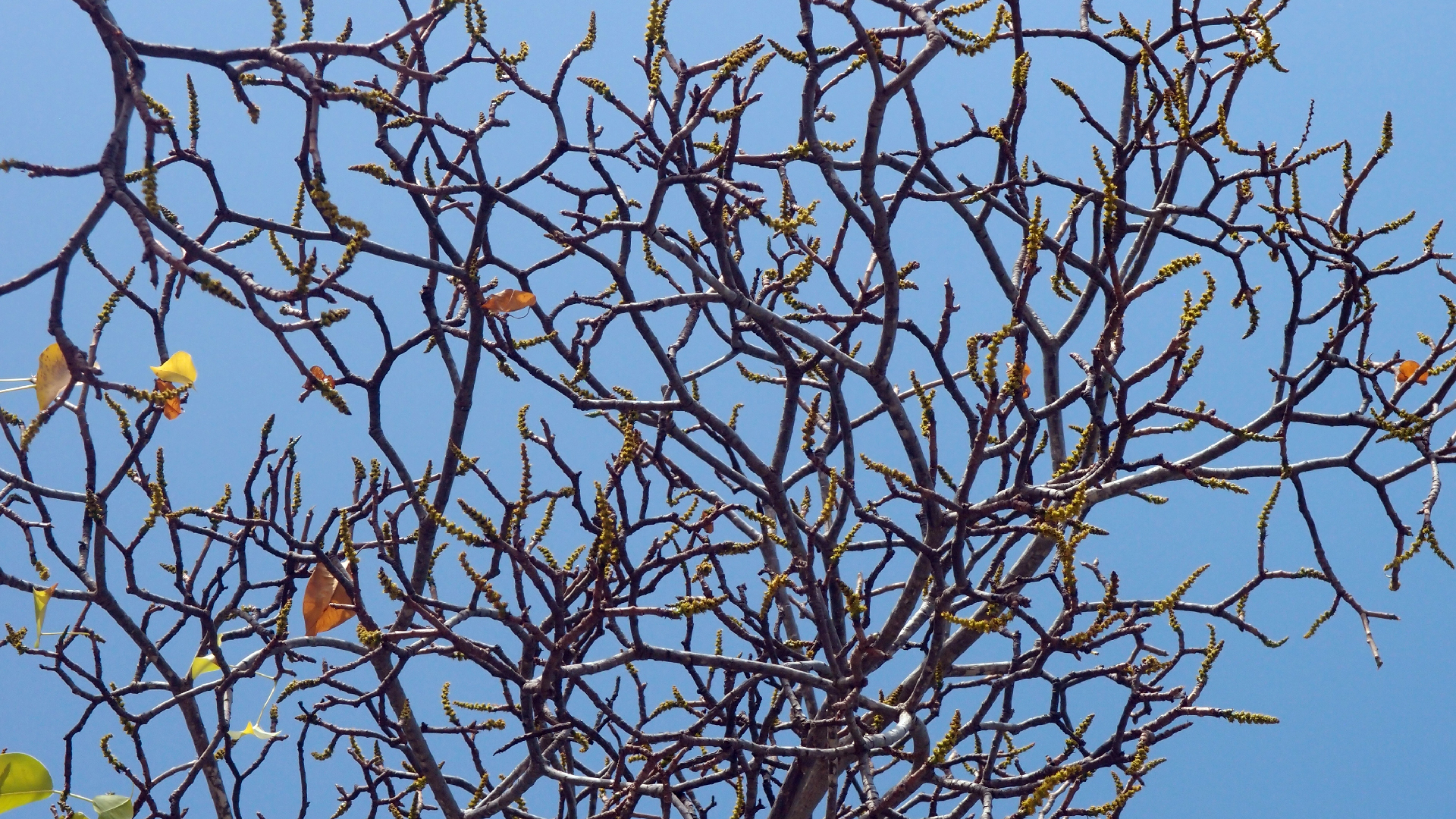 2022-04-15 Playa Kalki (am Strand und im Wasser) (Foto, Video)