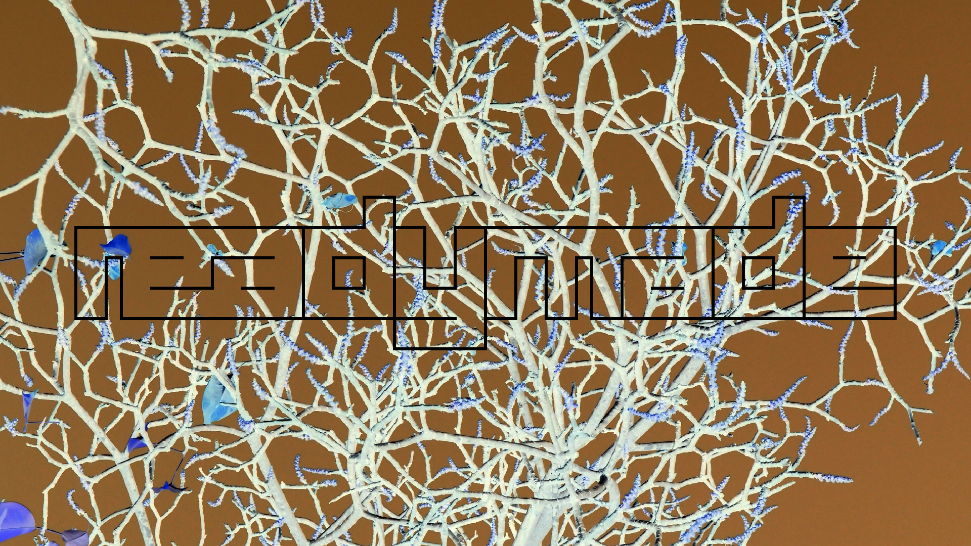 2022-04-15 Playa Kalki (am Strand und im Wasser) (Foto, Video)